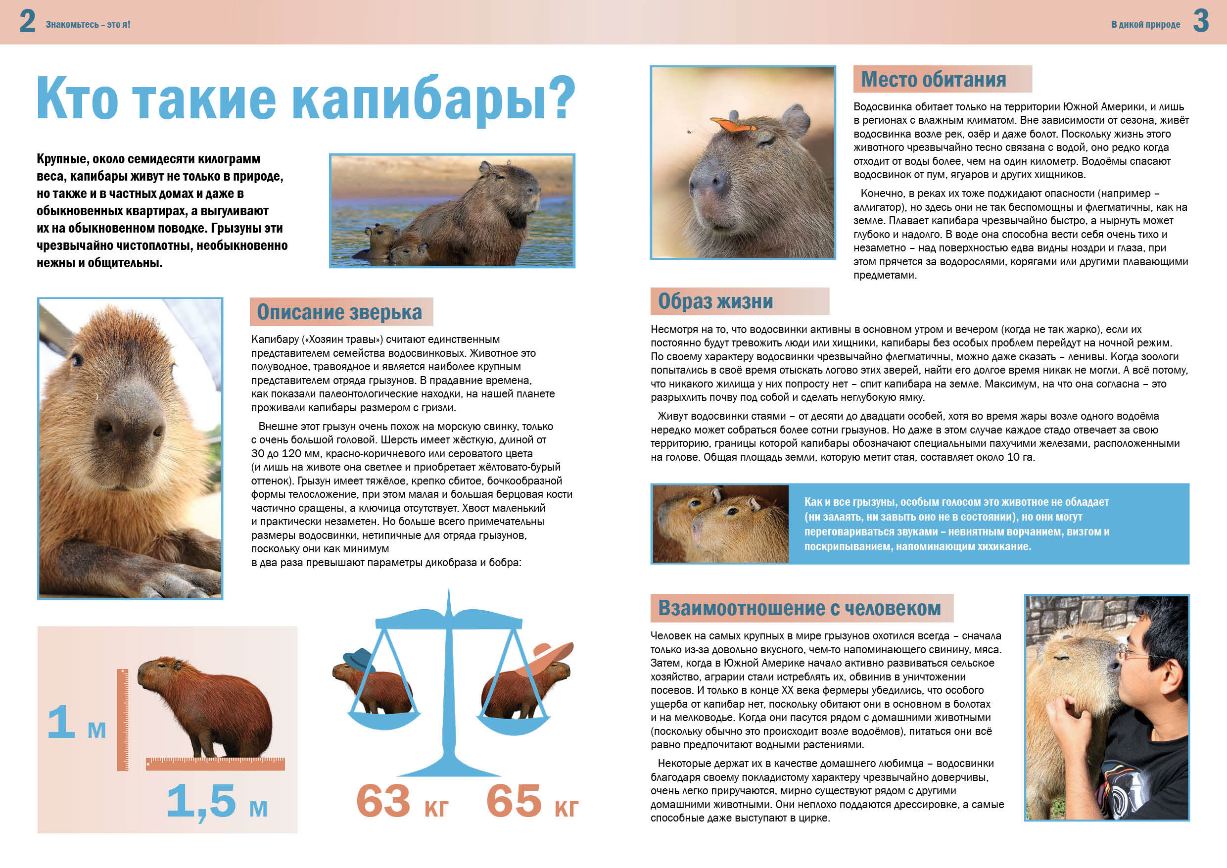 Вёрстка полиграфии — Изображение №4 — Графика на Dprofile
