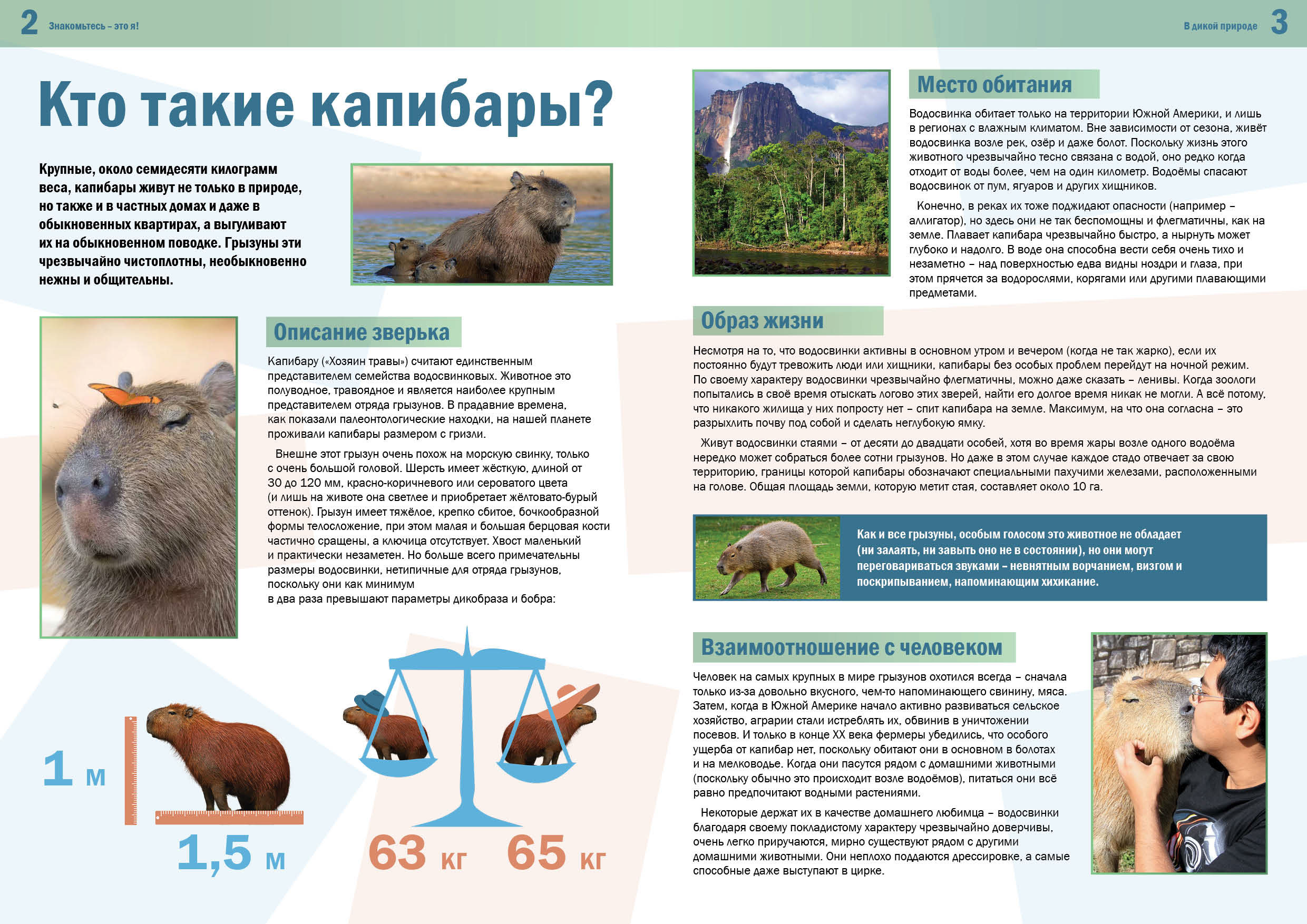 Вёрстка полиграфии — Изображение №2 — Графика на Dprofile