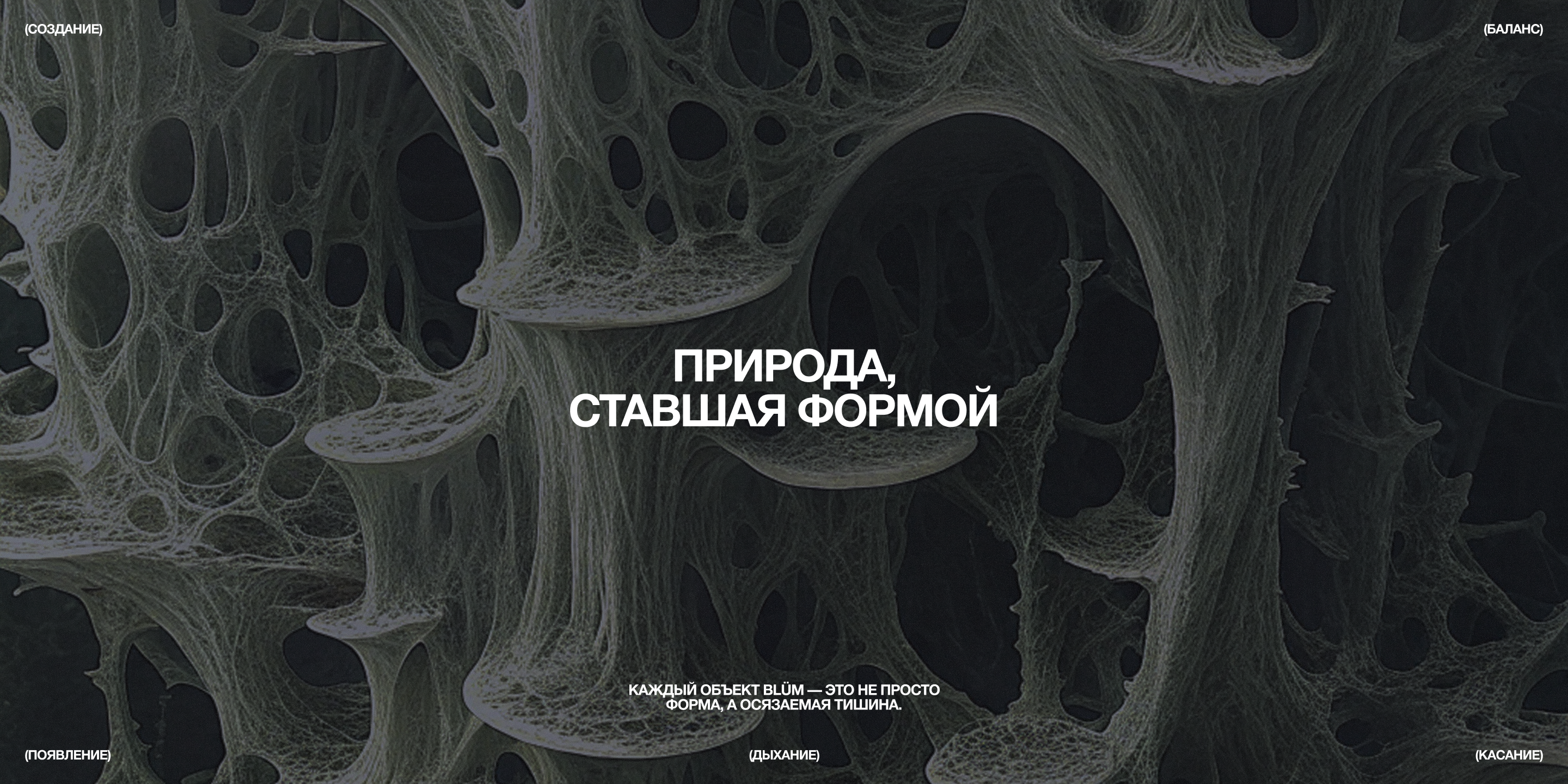 blüm / Интернет-магазин — Изображение №6 — Интерфейсы на Dprofile