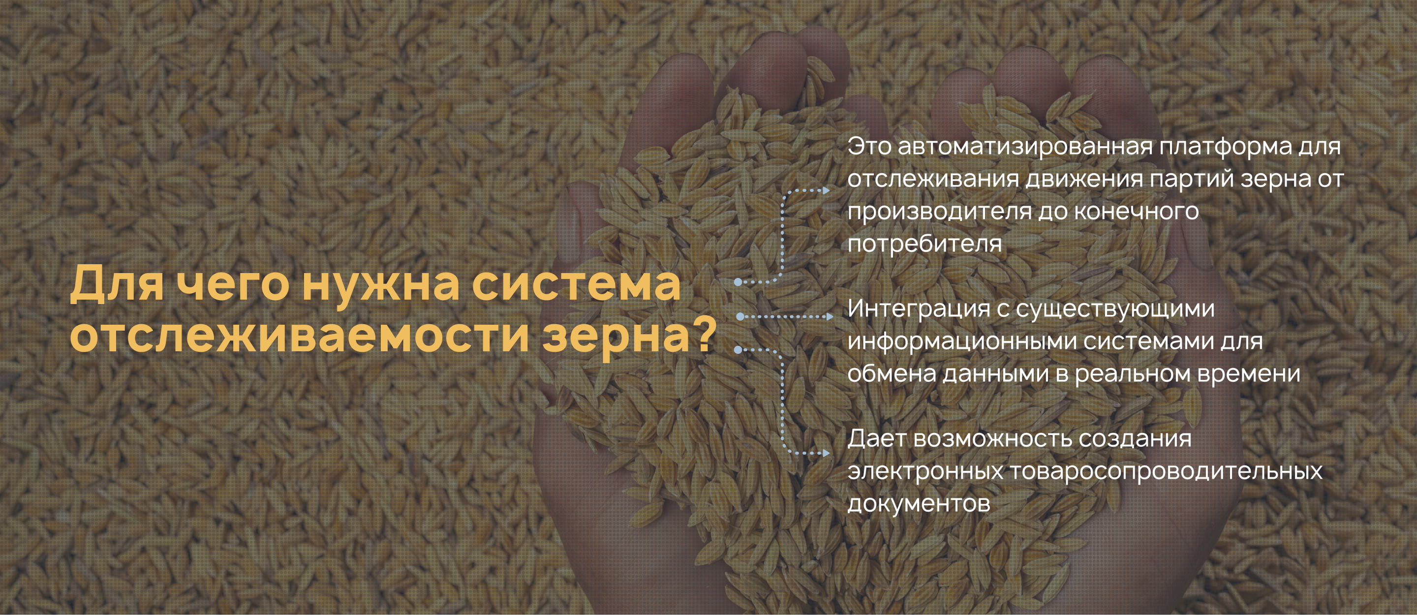 Дизайн-система и разработка интерфейсов для  MCX РФ — Изображение №3 — Интерфейсы на Dprofile