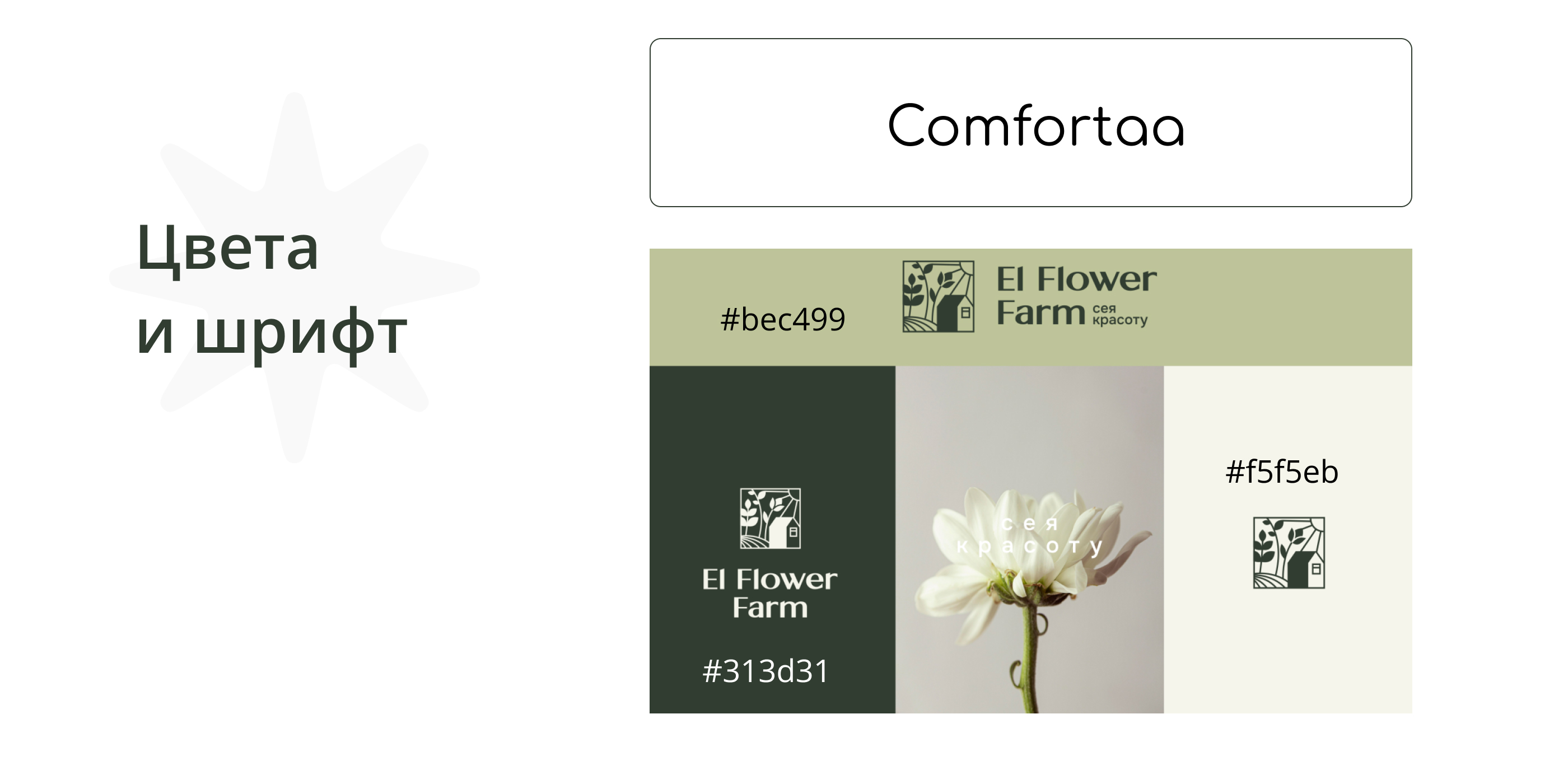 Баннеры для El Flower Farm — Изображение №4 — Маркетинг на Dprofile