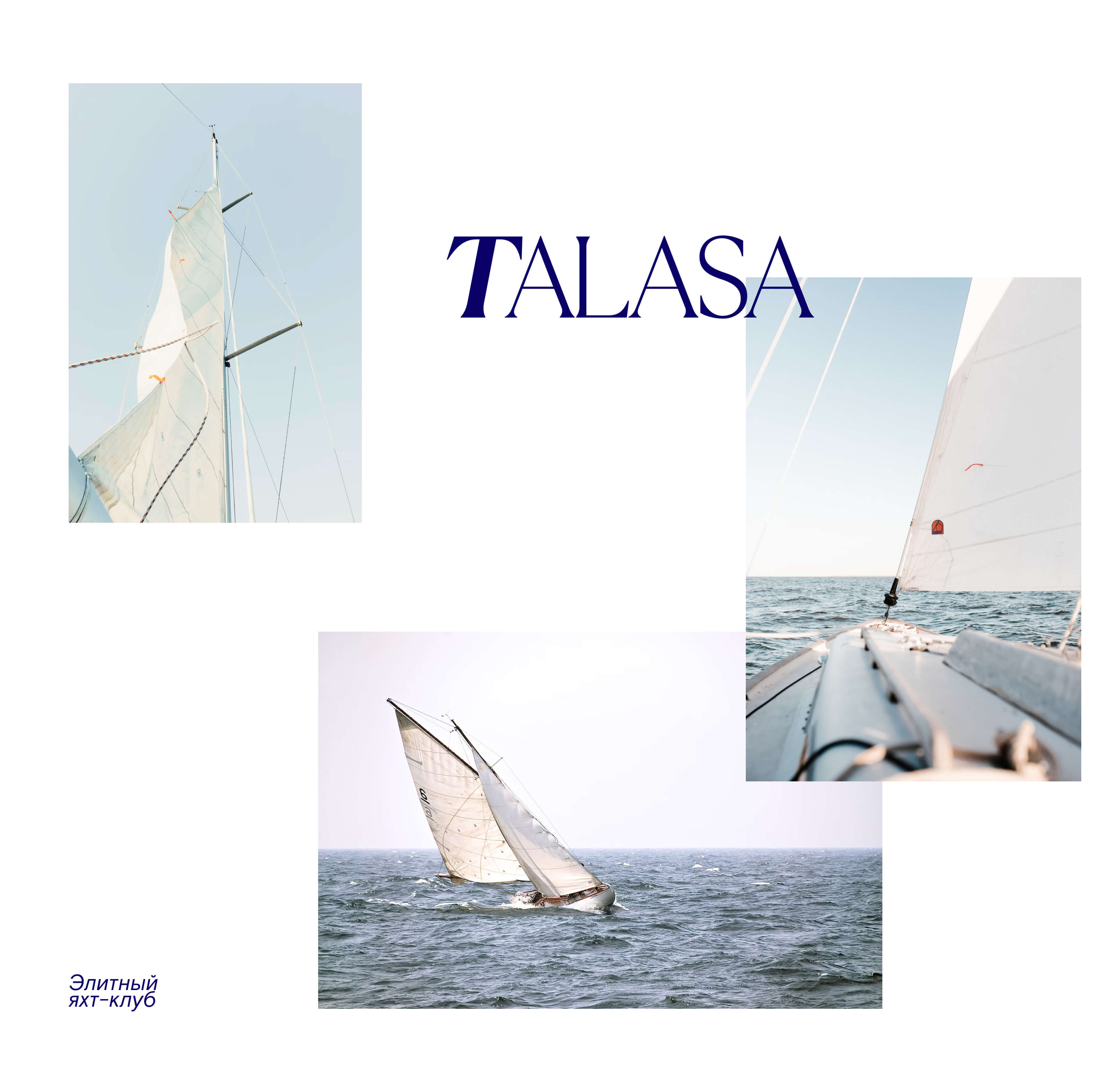 TALASA — Изображение №4 — Брендинг, Маркетинг на Dprofile