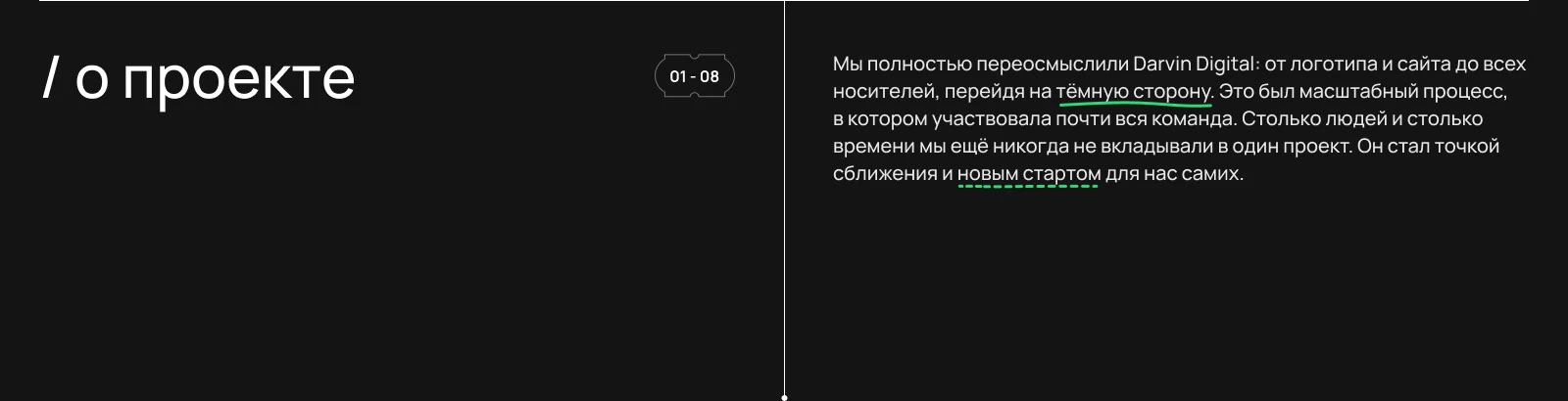 Редизайн международного агентства Darvin Digital — Изображение №2 — Интерфейсы, Брендинг на Dprofile