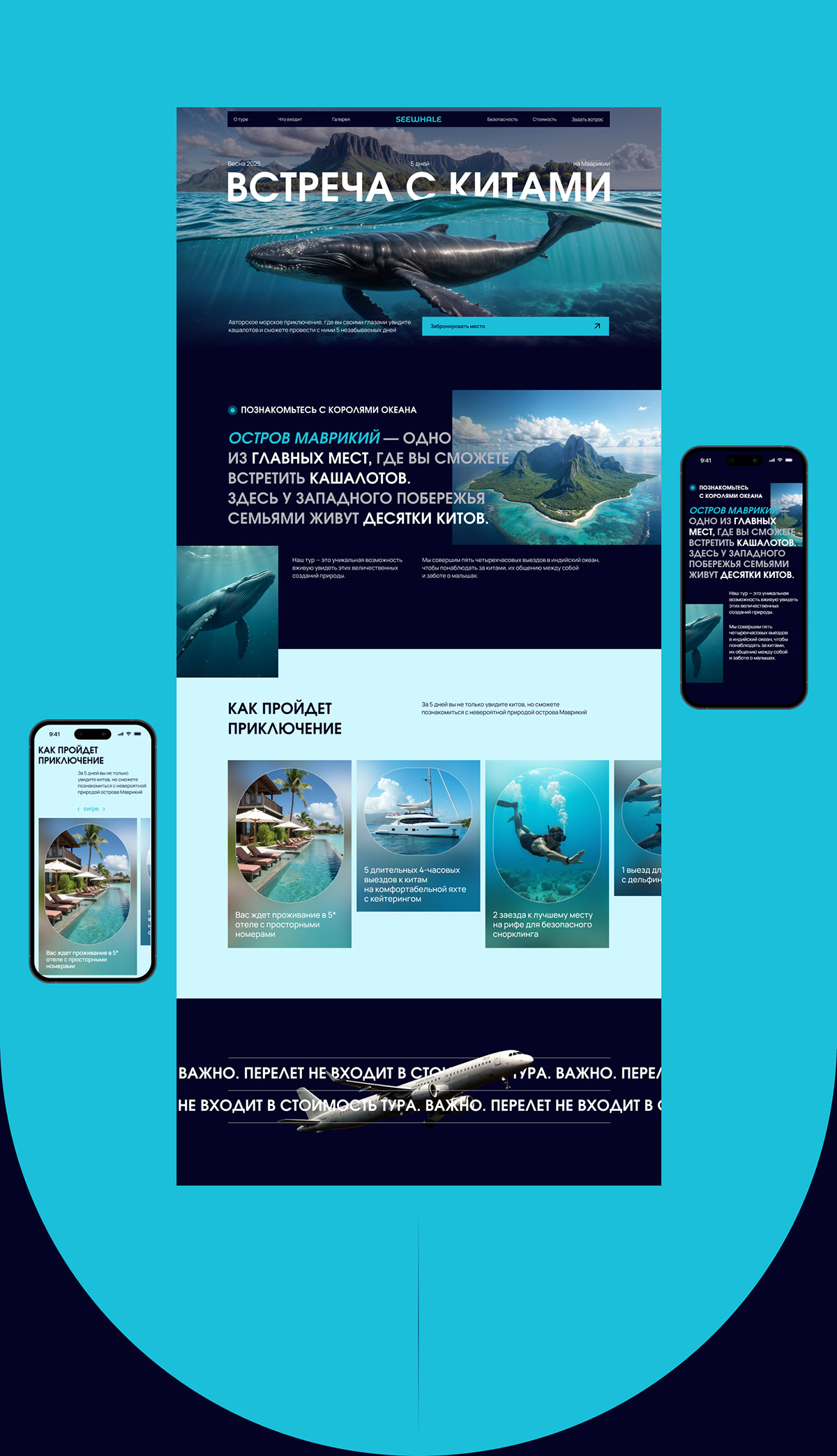See whale | Landing page — Изображение №4 — Интерфейсы, Анимация на Dprofile