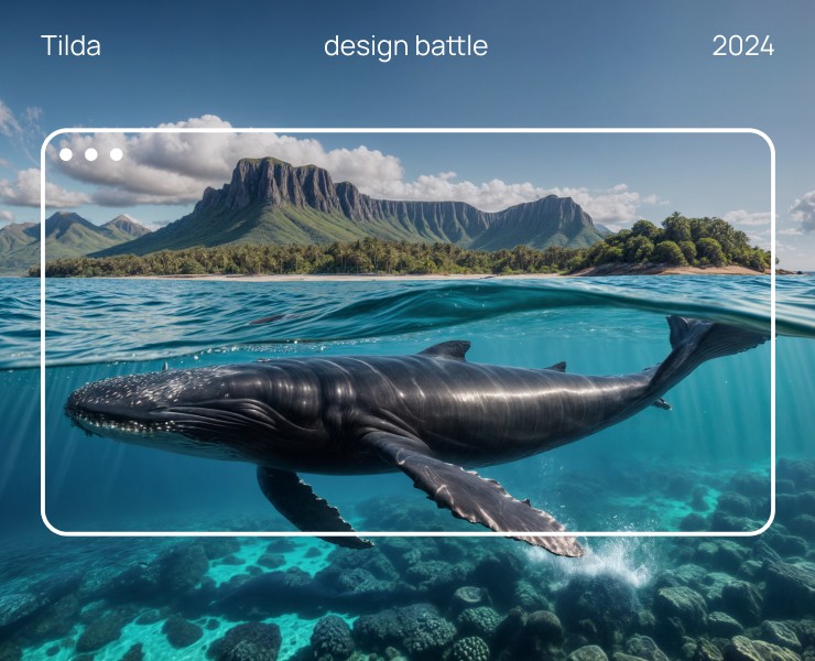 See whale | Landing page — Интерфейсы, Анимация на Dprofile