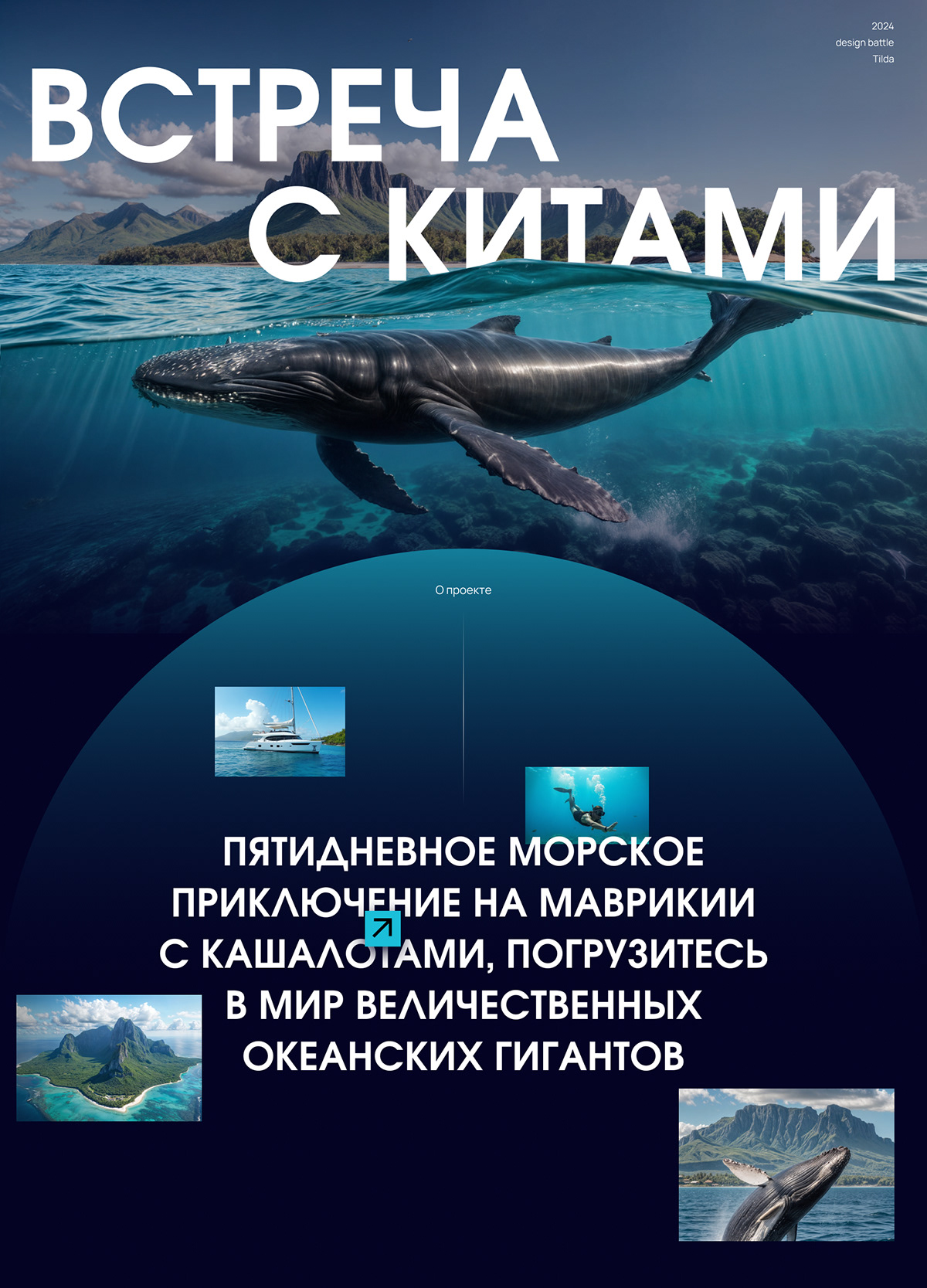 See whale | Landing page — Изображение №1 — Интерфейсы, Анимация на Dprofile