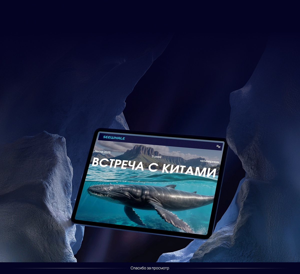 See whale | Landing page — Изображение №10 — Интерфейсы, Анимация на Dprofile
