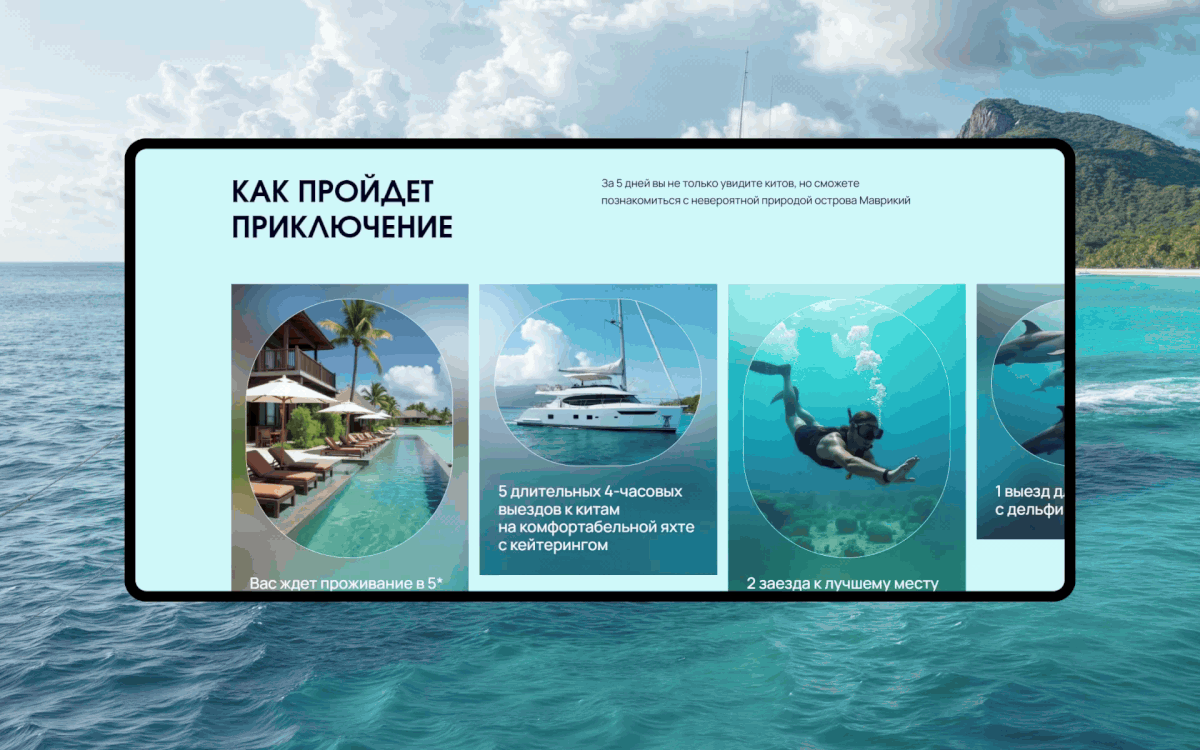 See whale | Landing page — Изображение №6 — Интерфейсы, Анимация на Dprofile