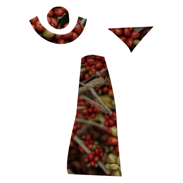 Айдентика кофейного бренда Papa Roast — Изображение №16 — Брендинг на Dprofile