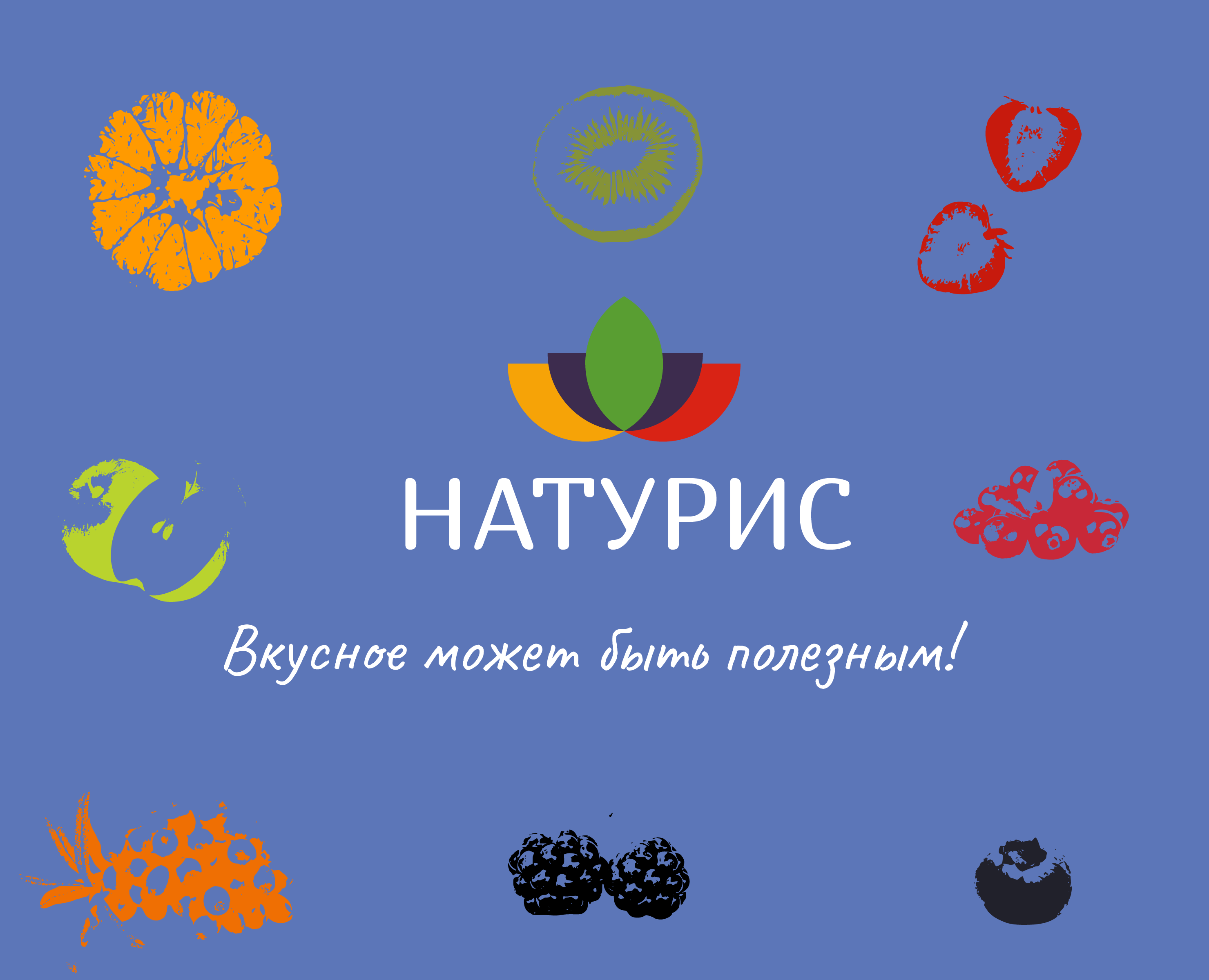 Натурис. Упаковка натуральных сладостей и напитков. — Брендинг, Графика на Dprofile