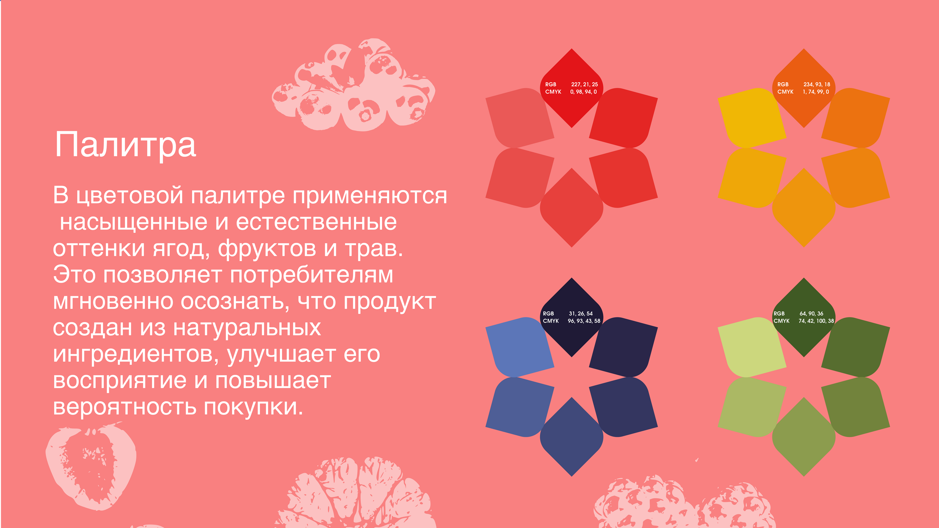 Натурис. Упаковка натуральных сладостей и напитков. — Изображение №4 — Брендинг, Графика на Dprofile