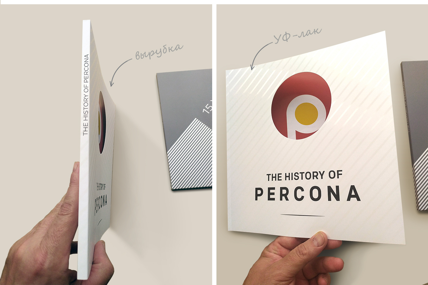 PERCONA 15 years. Брошюра для IT-компании. — Изображение №3 — Графика на Dprofile