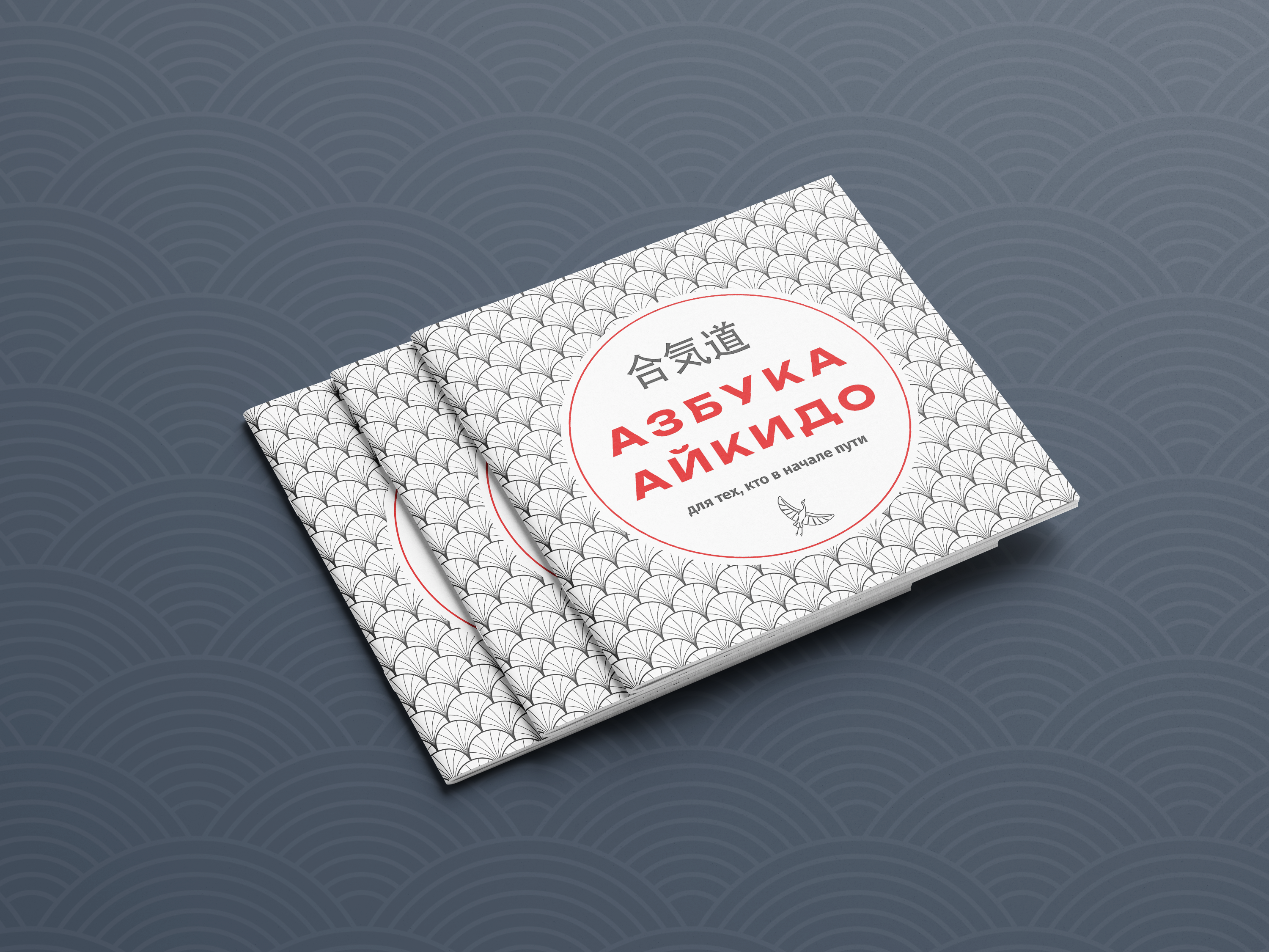 "Азбука Айкидо". Брошюра для начинающих. — Изображение №1 — Графика на Dprofile