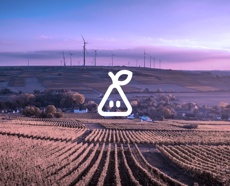 Peareco — Брендинг на Dprofile