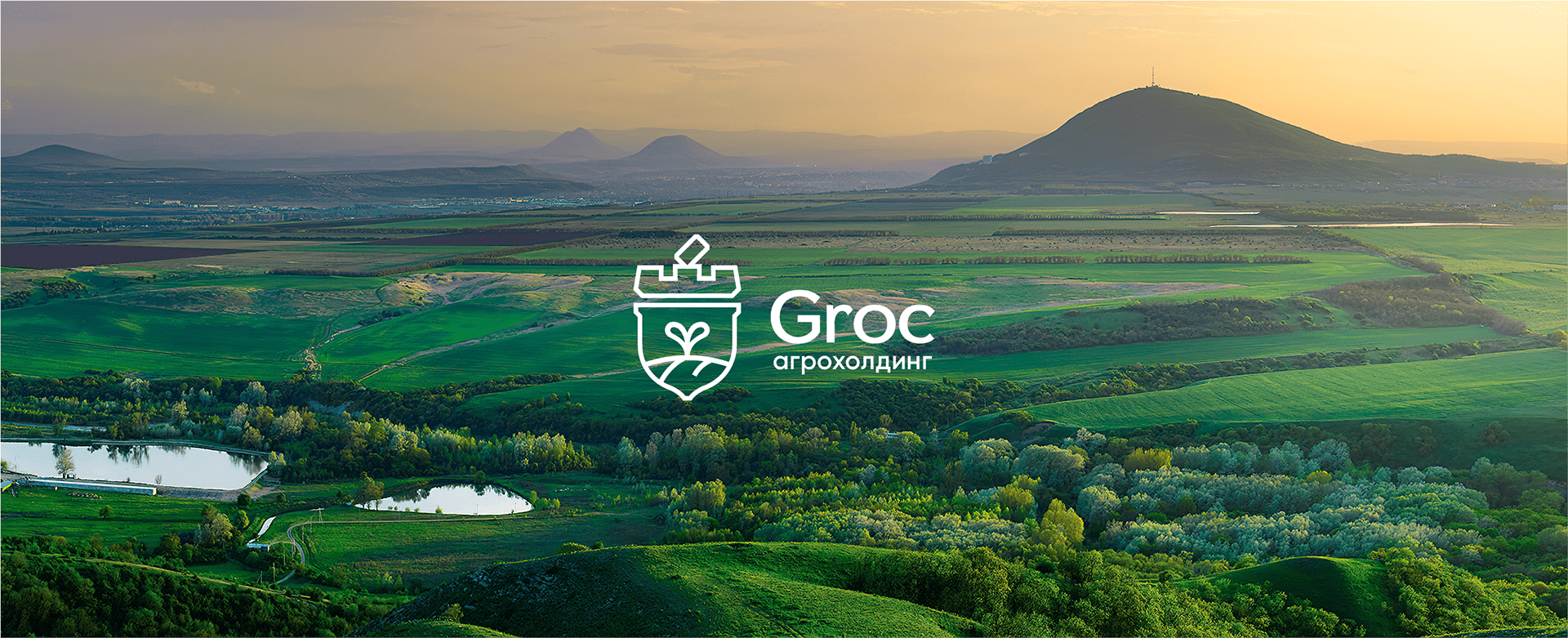 Groc — Изображение №1 — Брендинг на Dprofile