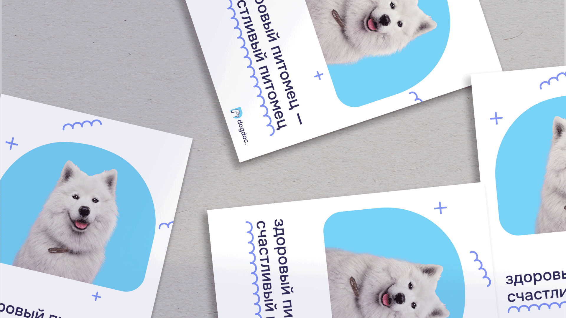 dogdoc. — Изображение №5 — Брендинг, Графика на Dprofile