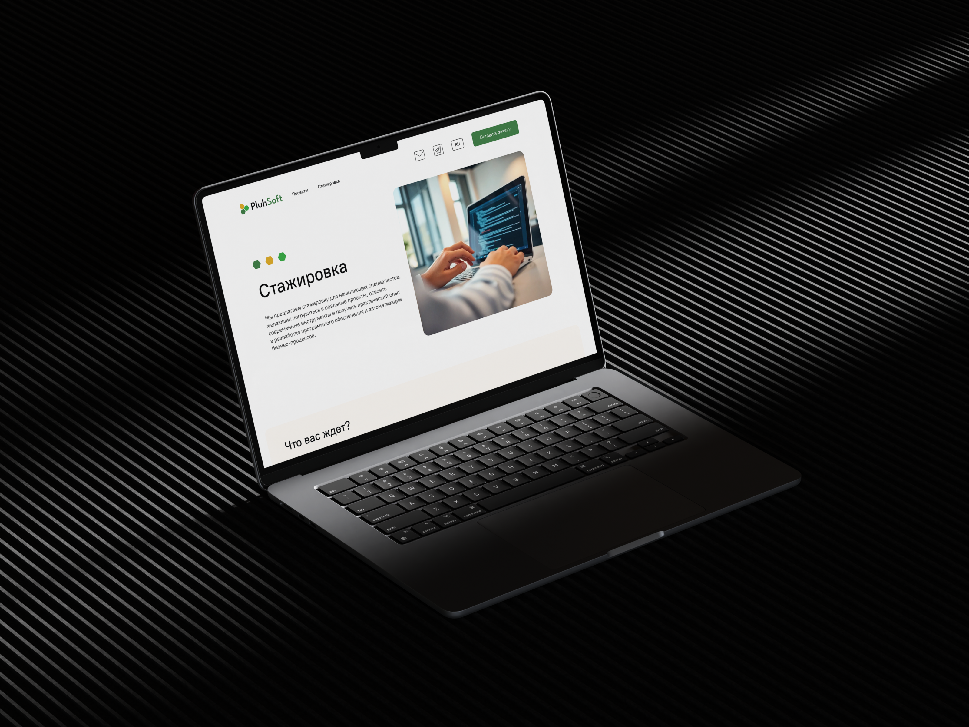 PluhSoft — Branding & Web design — Изображение №12 — Интерфейсы, Брендинг на Dprofile