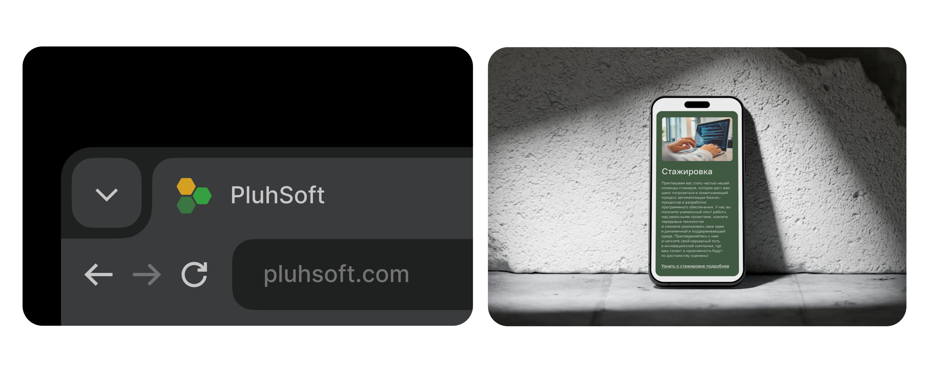 PluhSoft — Branding & Web design — Изображение №4 — Интерфейсы, Брендинг на Dprofile