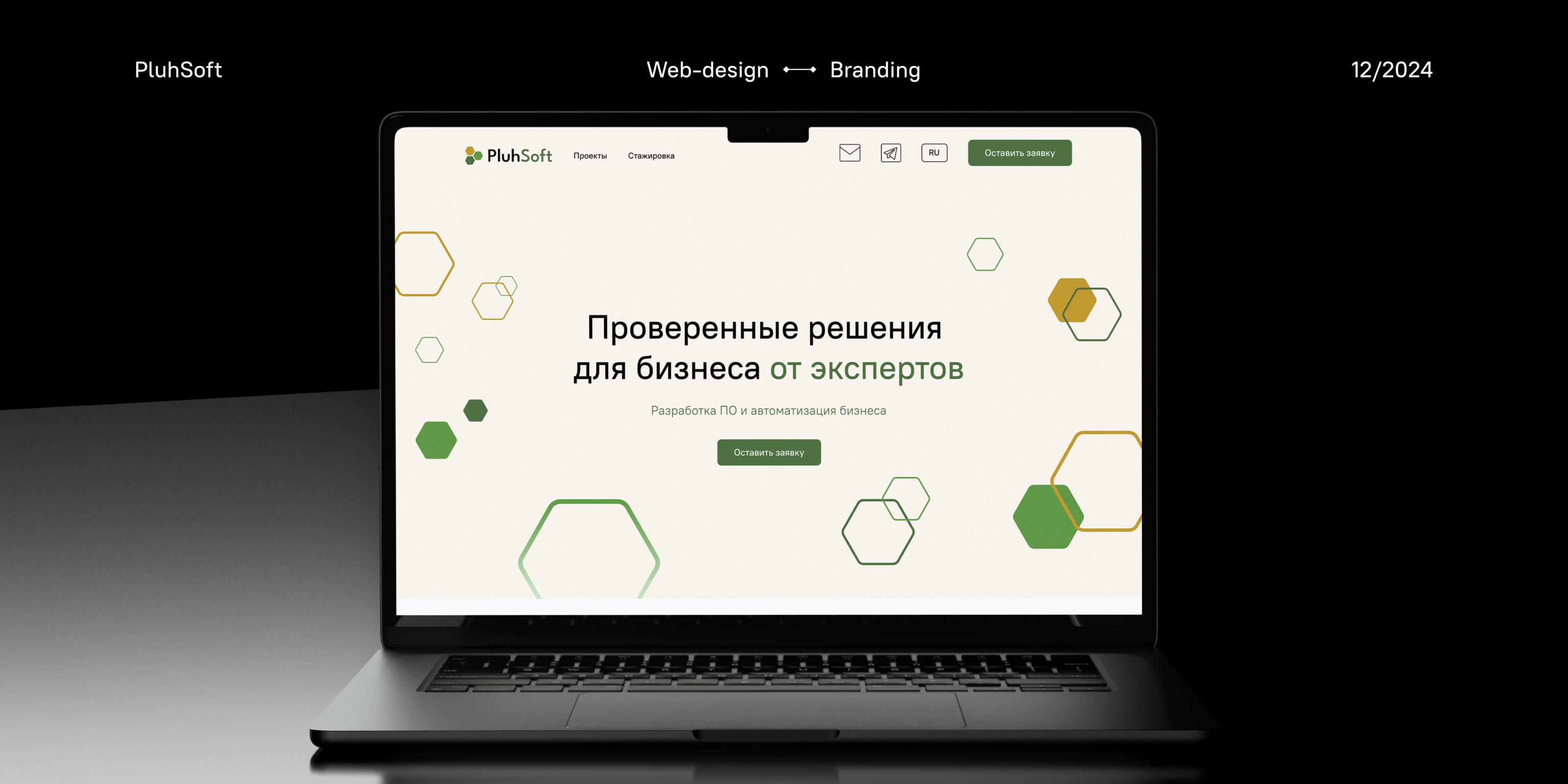 PluhSoft — Branding & Web design — Изображение №1 — Интерфейсы, Брендинг на Dprofile