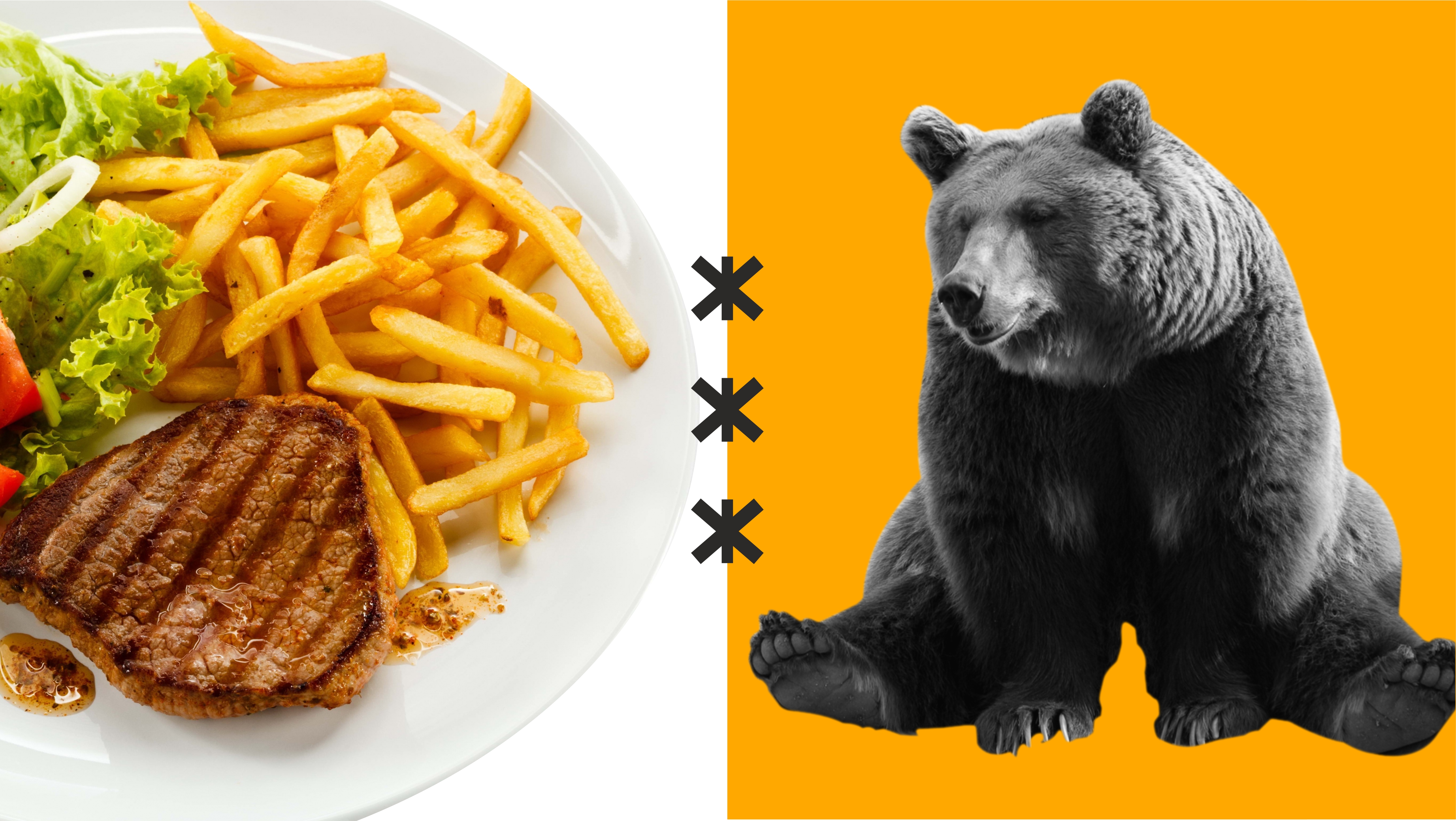 Фирменный стиль для гастро-буфета «Ложка мёда» — Изображение №4 — Брендинг на Dprofile