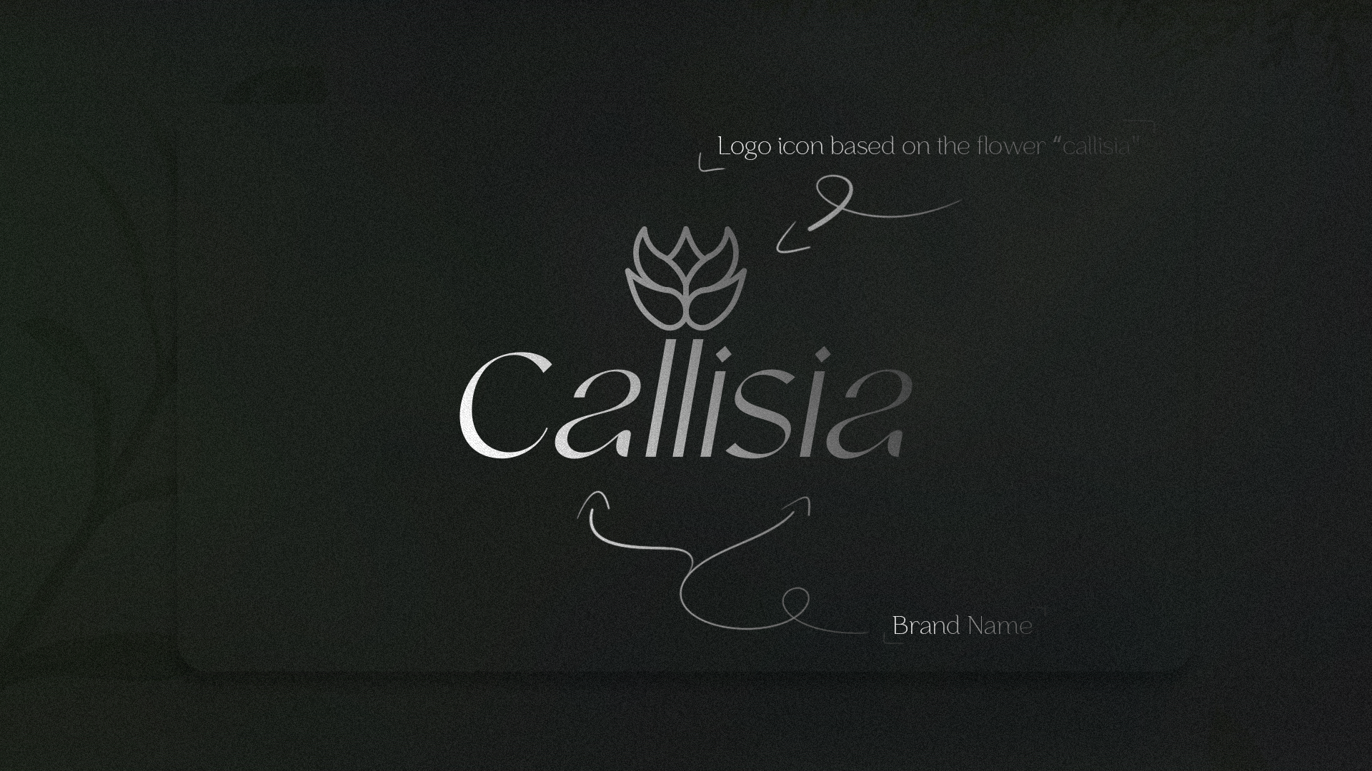 Callisia | Brand clothing — Изображение №3 — Брендинг на Dprofile