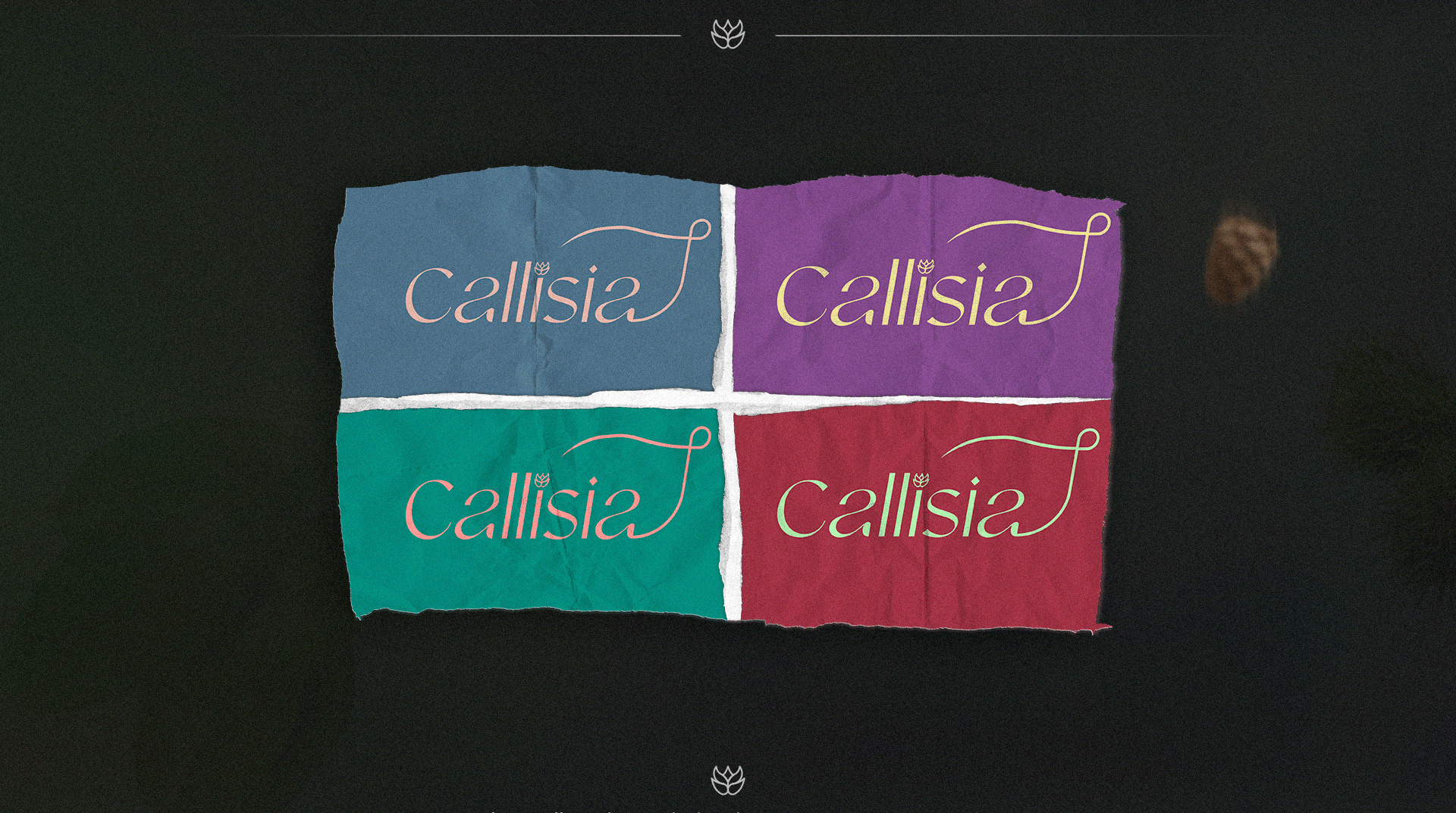 Callisia | Brand clothing — Изображение №5 — Брендинг на Dprofile