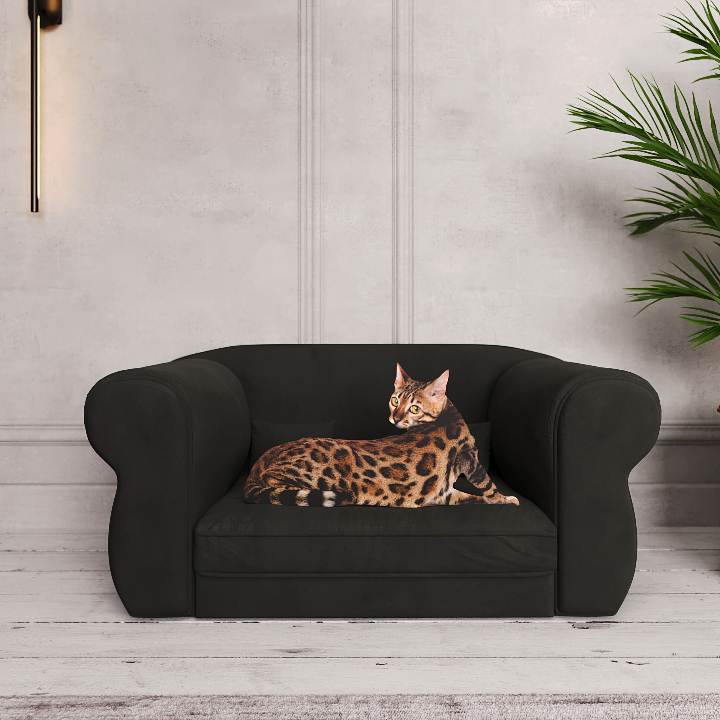 Диван для кошек, собак / Sofa for cats, dogs — Изображение №1 — 3D на Dprofile