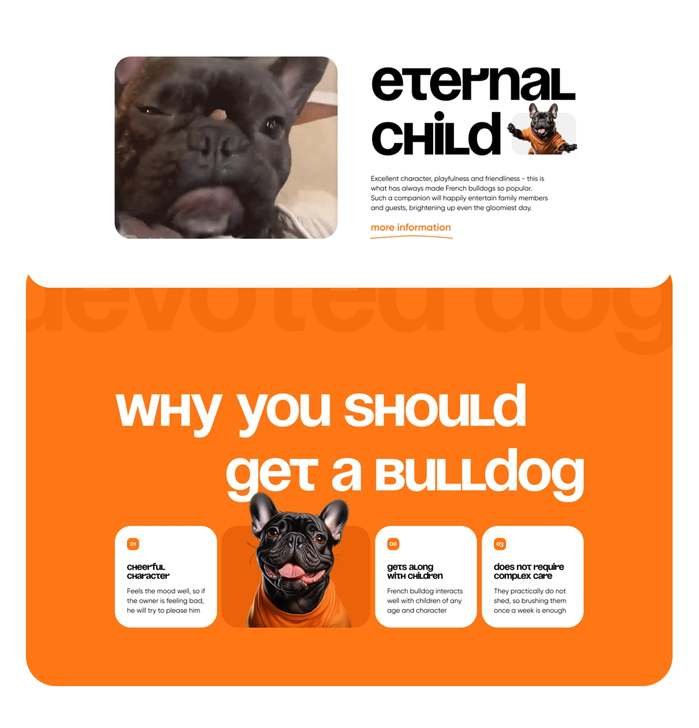 Landing Page French Bulldog — Изображение №5 — Интерфейсы, Брендинг на Dprofile
