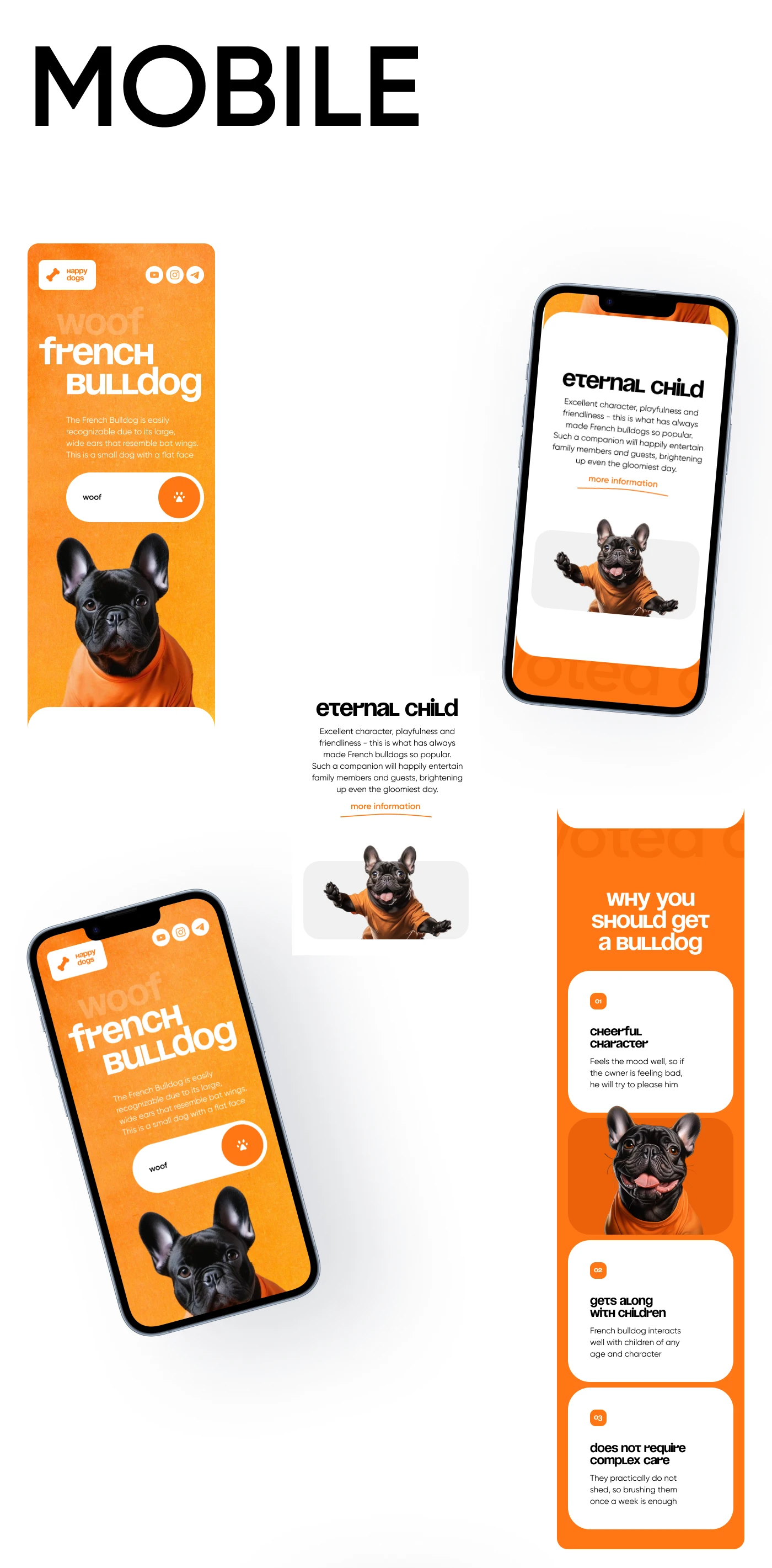 Landing Page French Bulldog — Изображение №8 — Интерфейсы, Брендинг на Dprofile