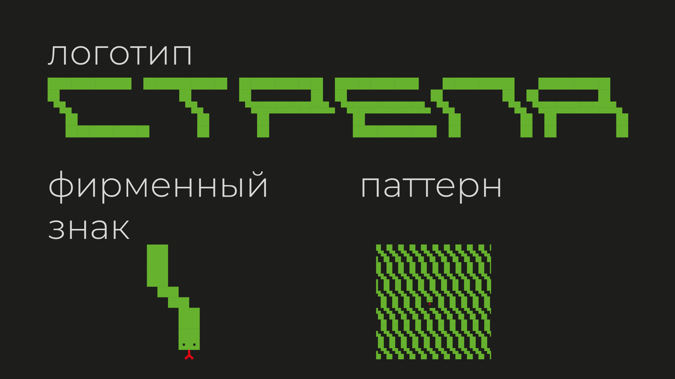 Айдентика диджитал конференции «Стрела» — Изображение №2 — Брендинг на Dprofile