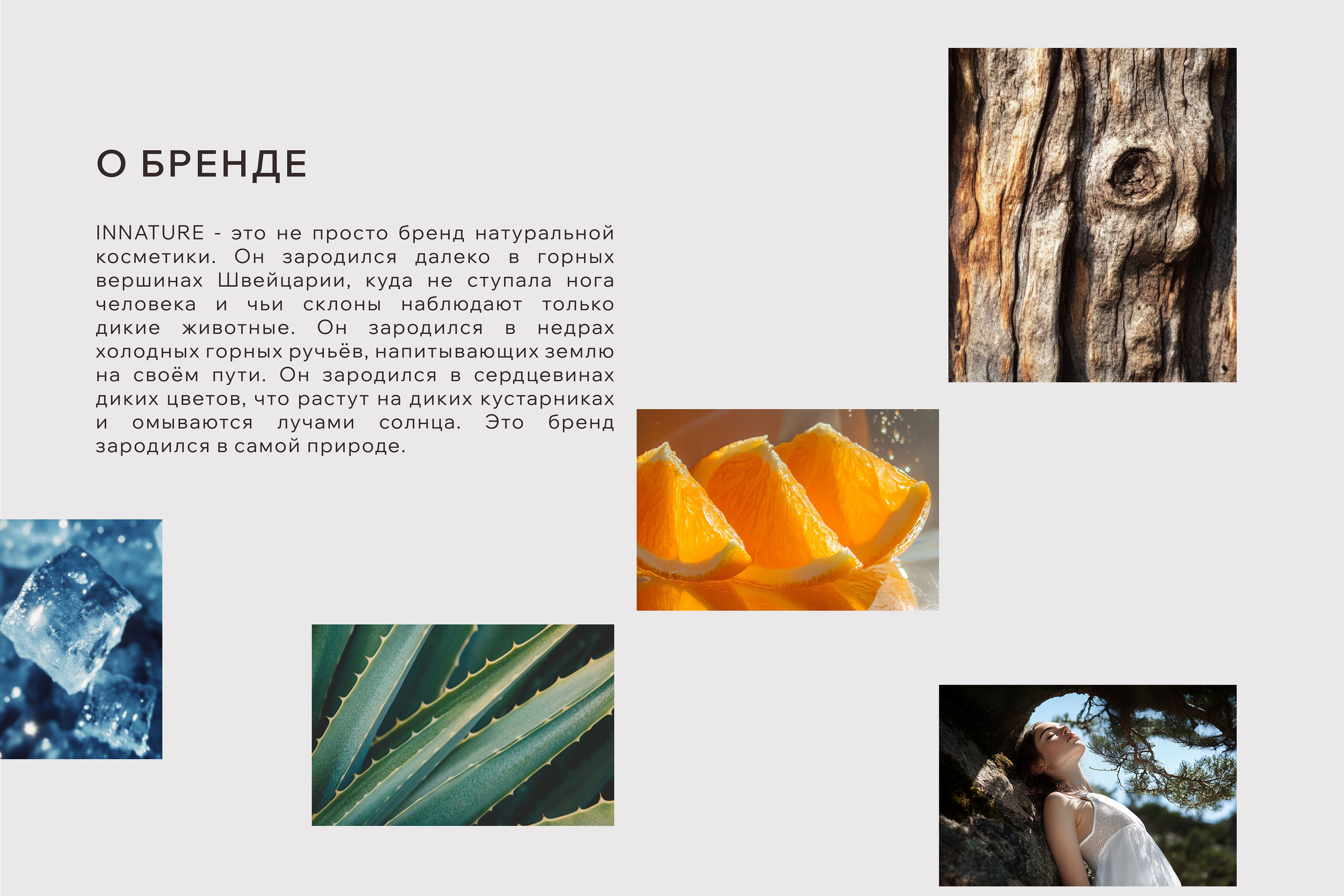 Бренд косметики | INNATURE | Фирменный стиль | Логотип — Изображение №2 — Брендинг на Dprofile