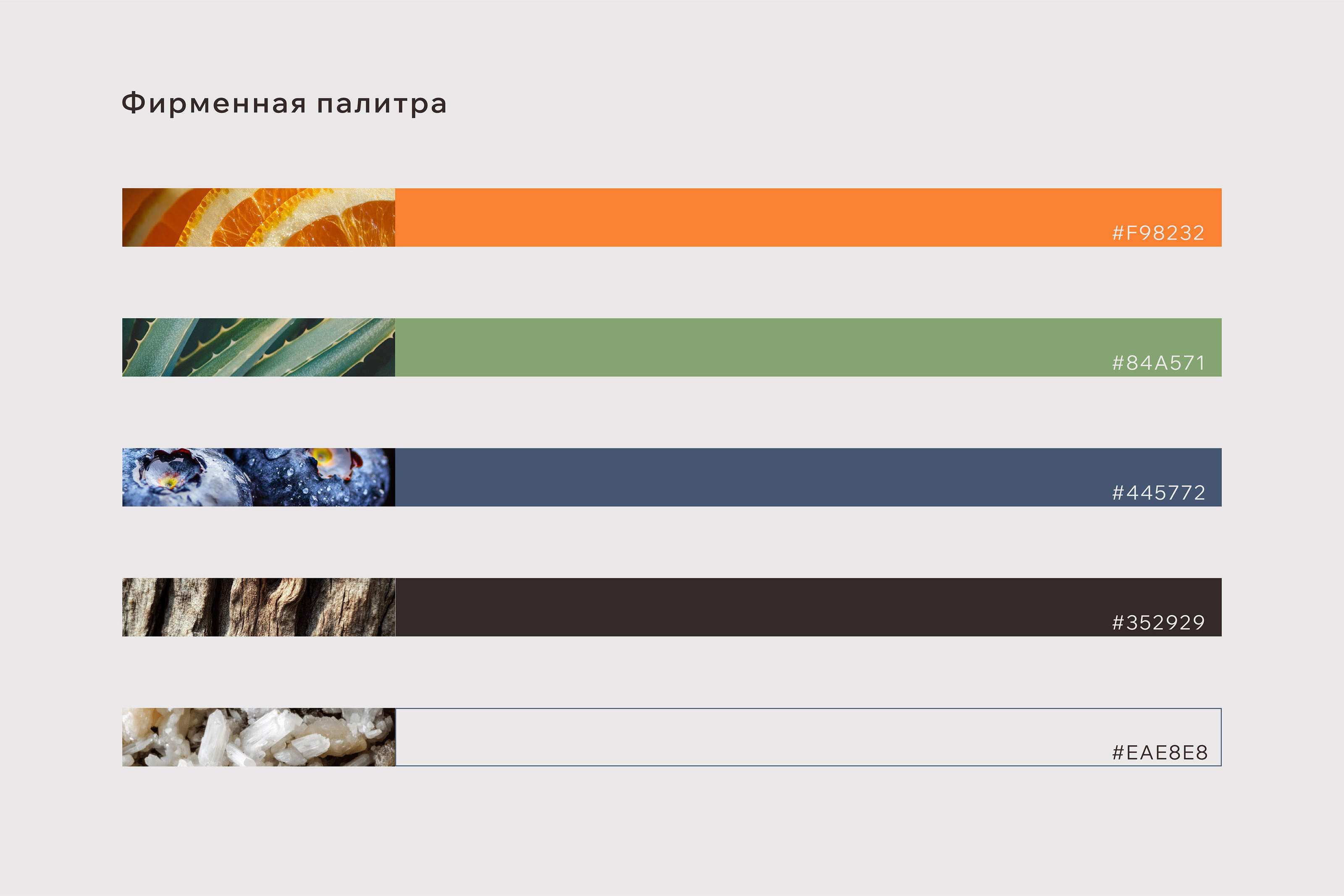 Бренд косметики | INNATURE | Фирменный стиль | Логотип — Изображение №6 — Брендинг на Dprofile
