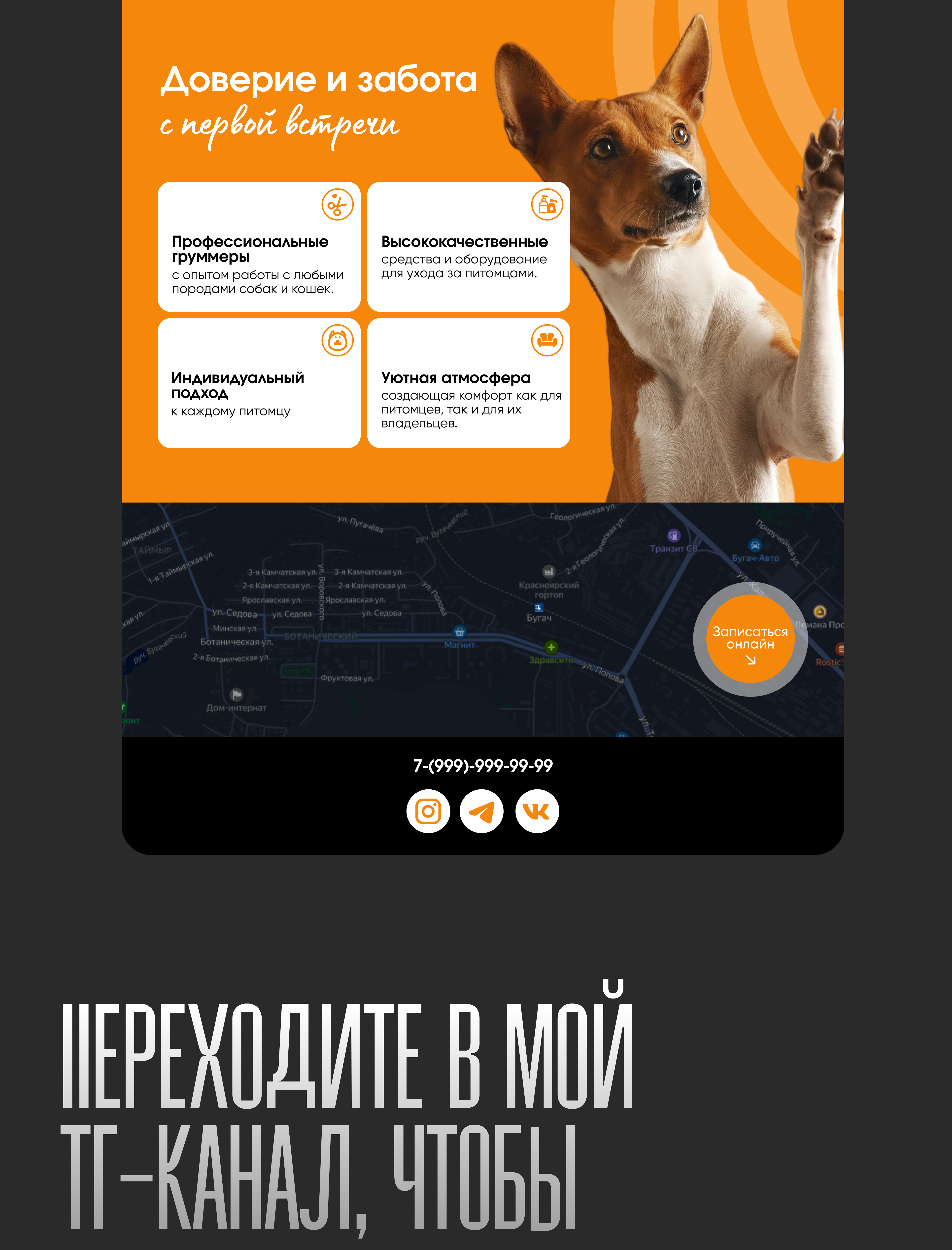 LANDING PAGE // груминг салон — Изображение №3 — Интерфейсы на Dprofile