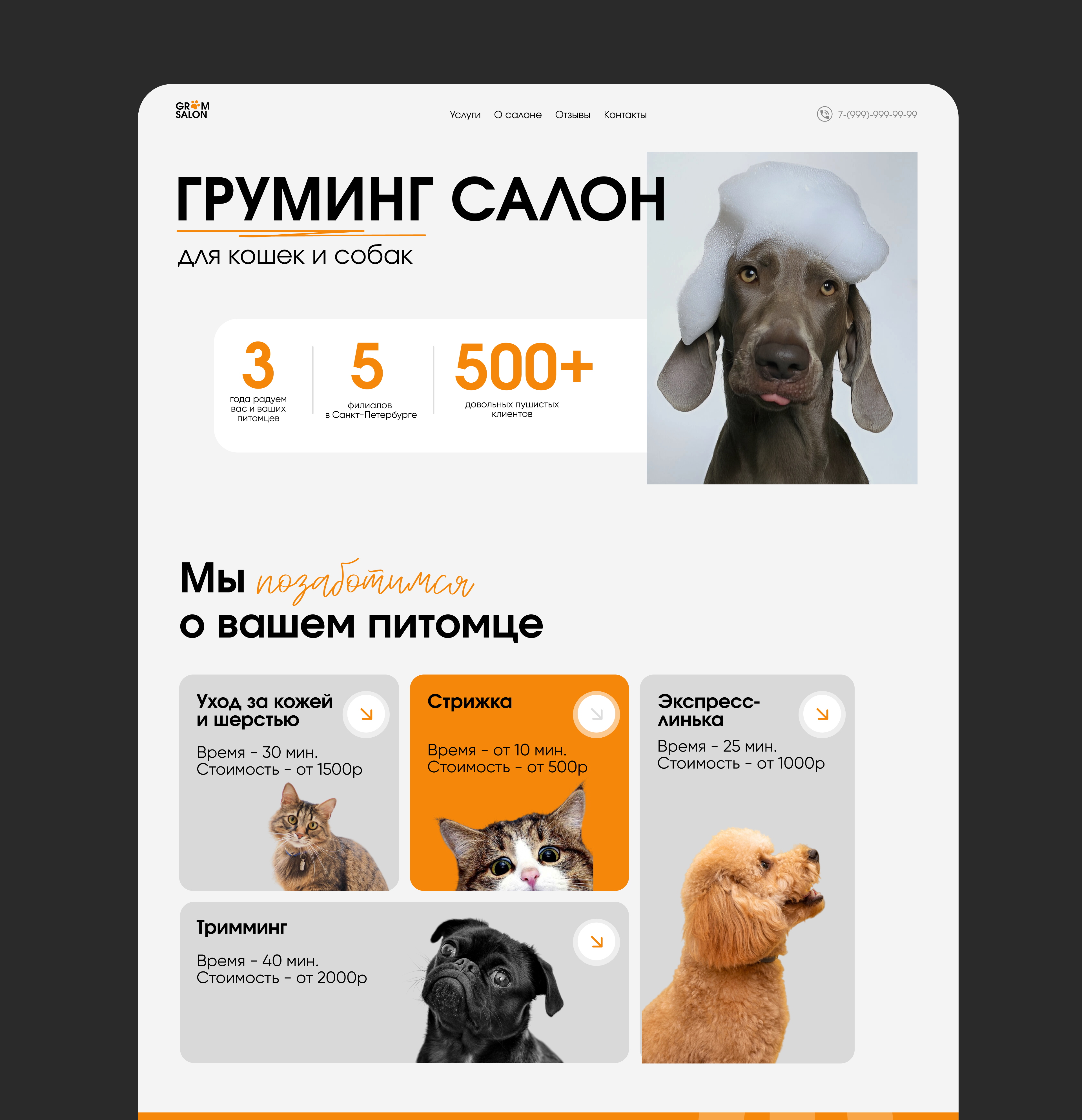 LANDING PAGE // груминг салон — Изображение №2 — Интерфейсы на Dprofile
