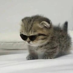 Аватар пользователя Глеб Шкарупа