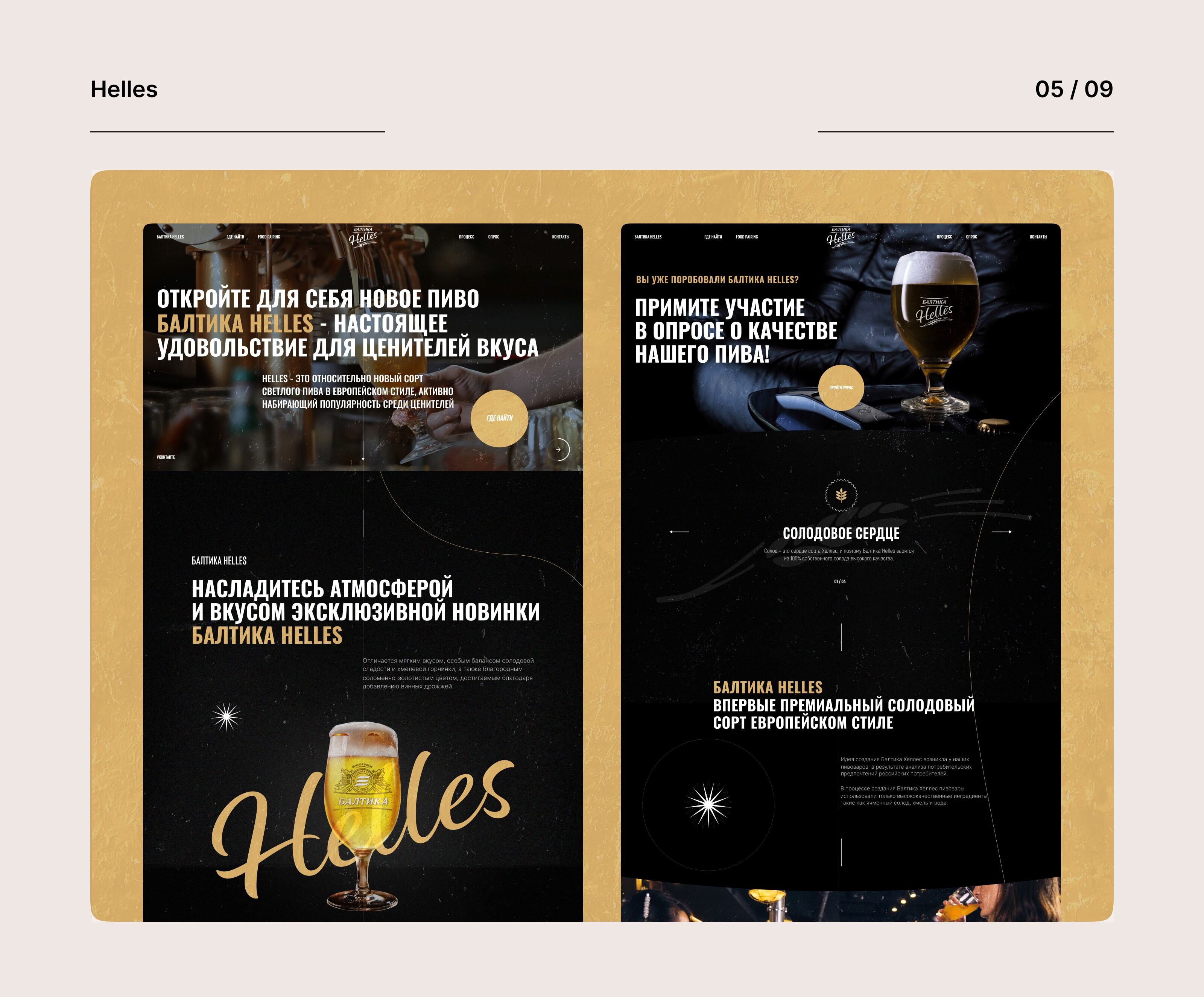 Website Collection 2022–2023 — Изображение №6 — Интерфейсы, Графика на Dprofile