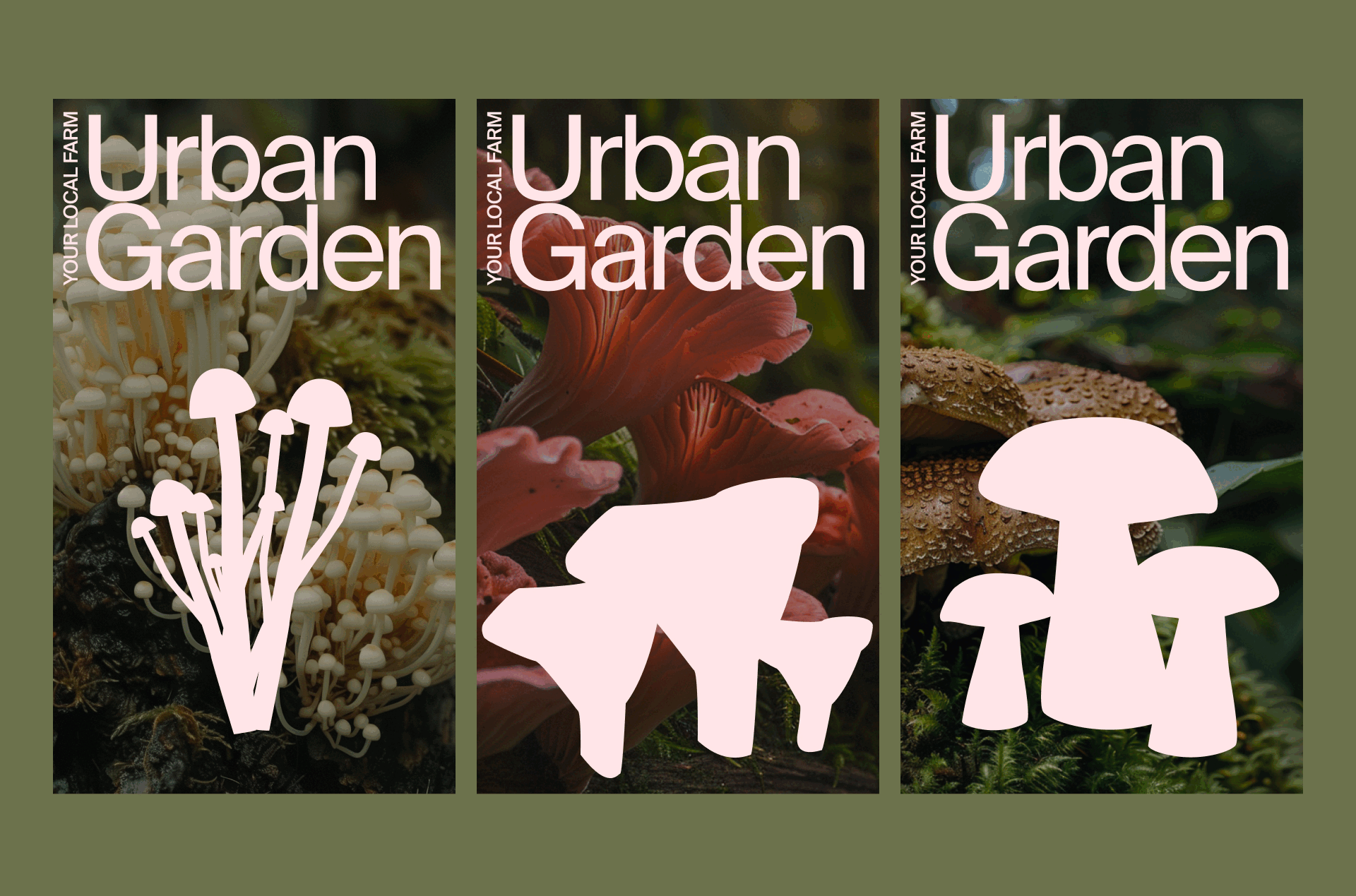 Urban Garden | сайт для редких съедобных грибов — Изображение №10 — Интерфейсы, Брендинг на Dprofile