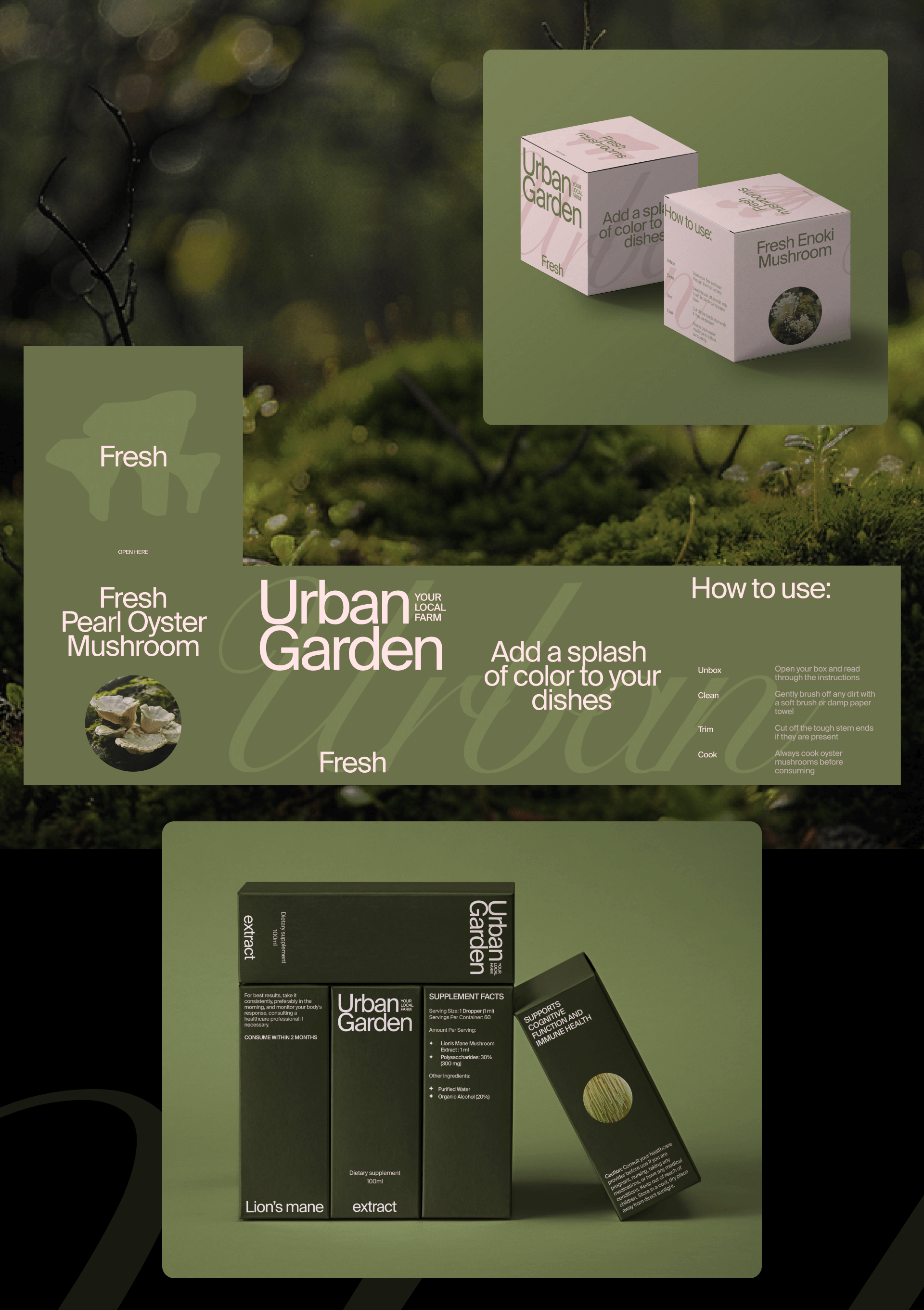 Urban Garden | сайт для редких съедобных грибов — Изображение №11 — Интерфейсы, Брендинг на Dprofile