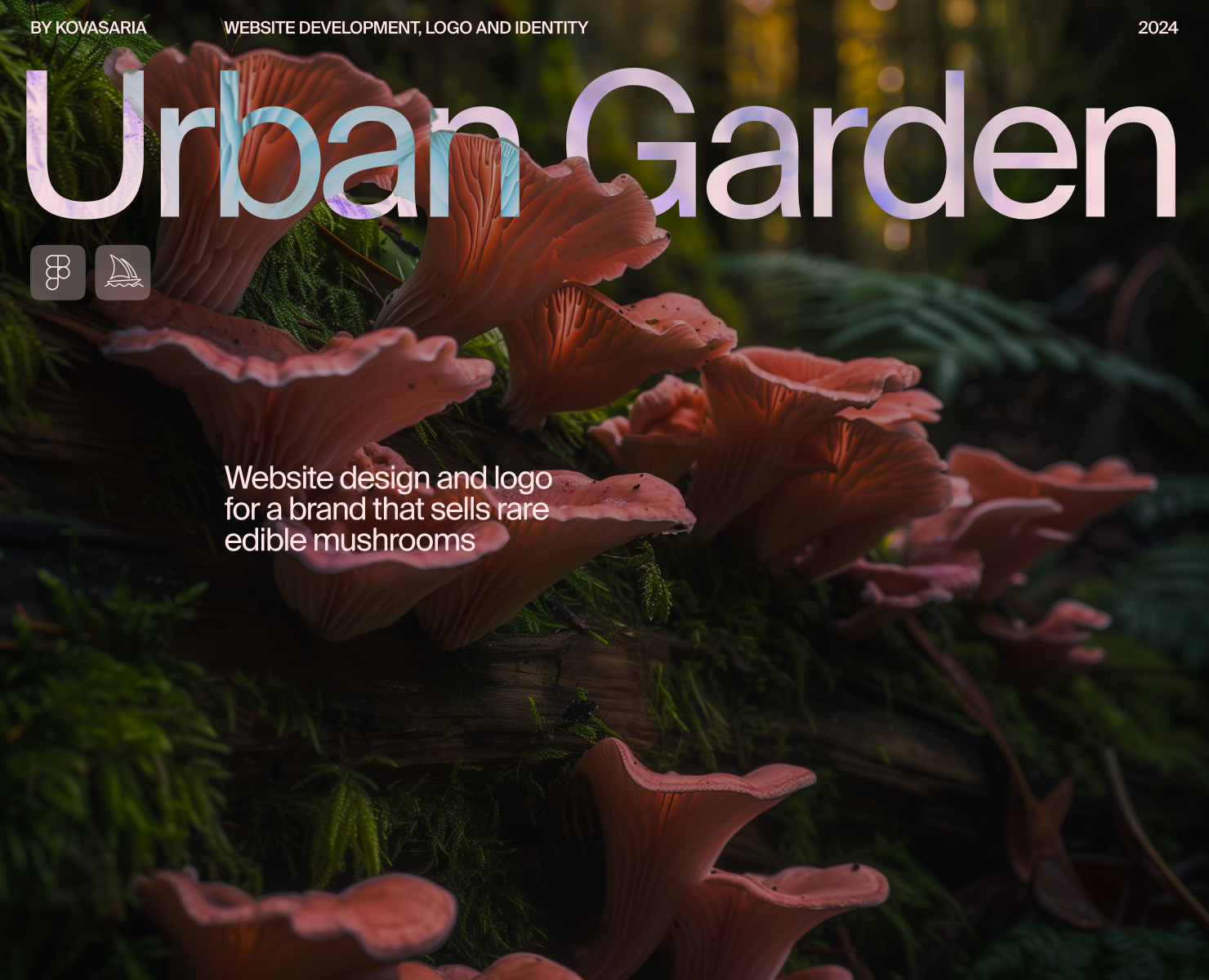 Urban Garden | сайт для редких съедобных грибов — Интерфейсы, Брендинг на Dprofile