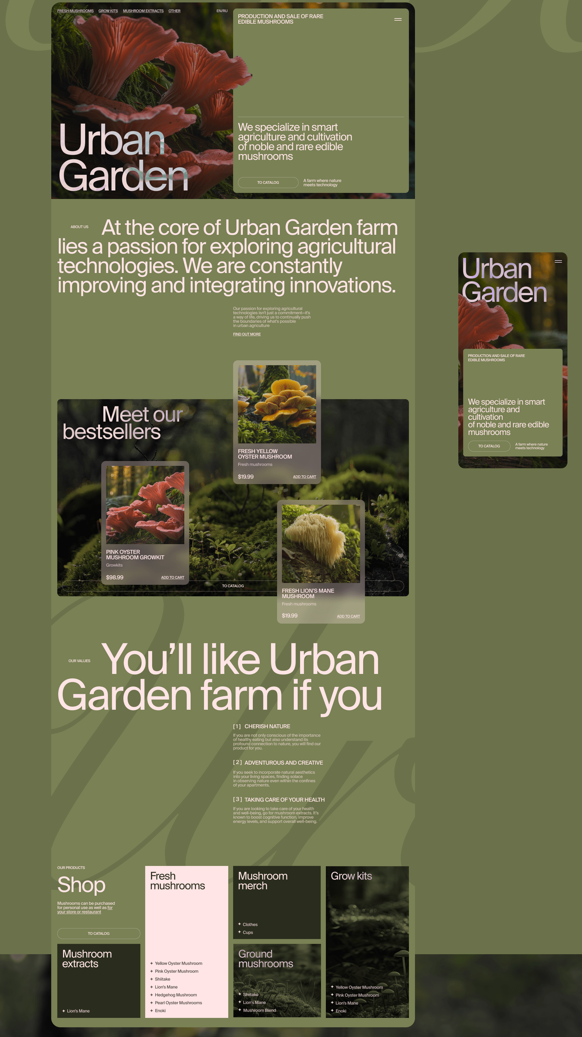 Urban Garden | сайт для редких съедобных грибов — Изображение №3 — Интерфейсы, Брендинг на Dprofile