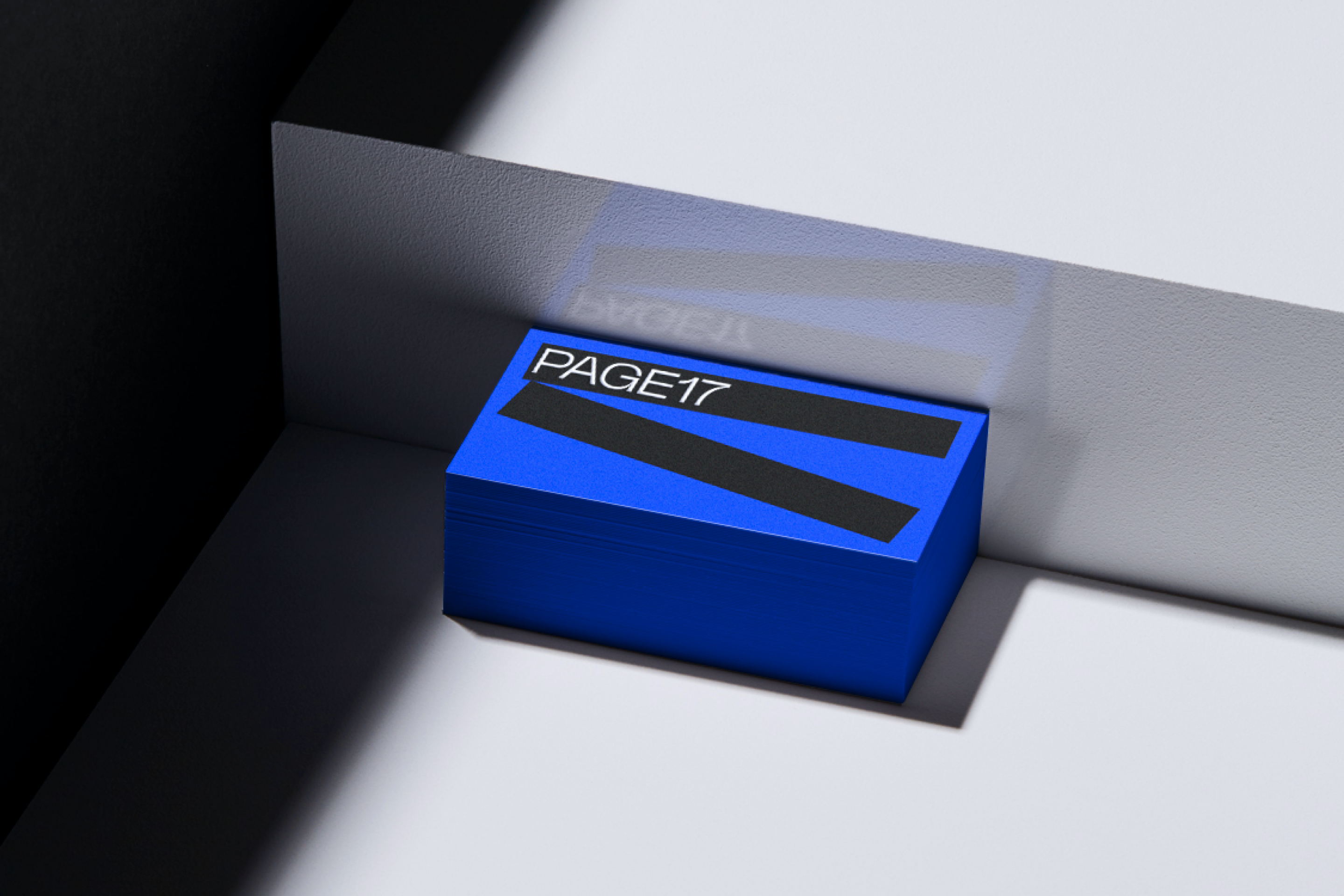 PAGE17 — Изображение №2 — Брендинг, Графика на Dprofile