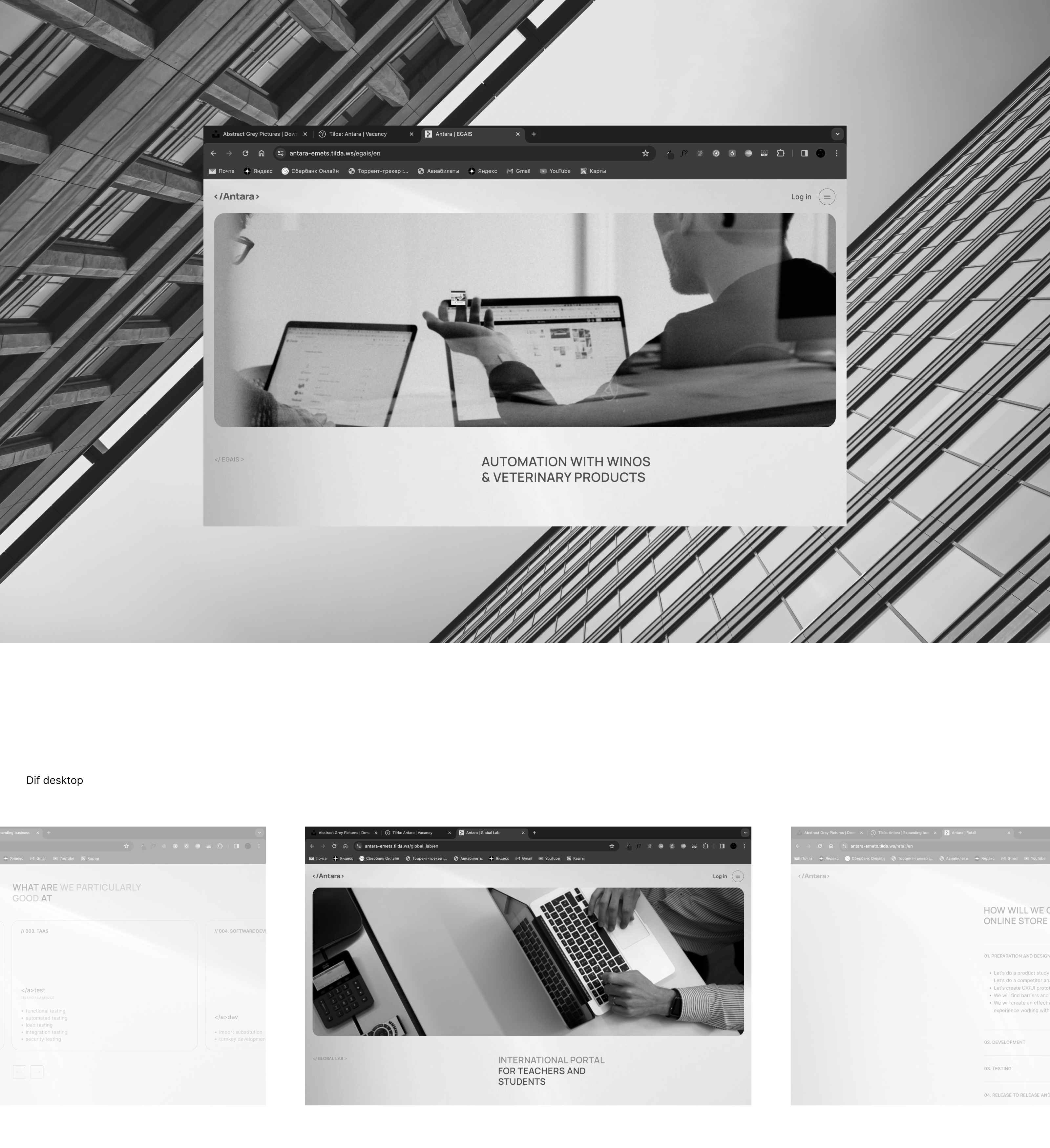 Antara services | Corporate website — Изображение №13 — Интерфейсы, Брендинг на Dprofile