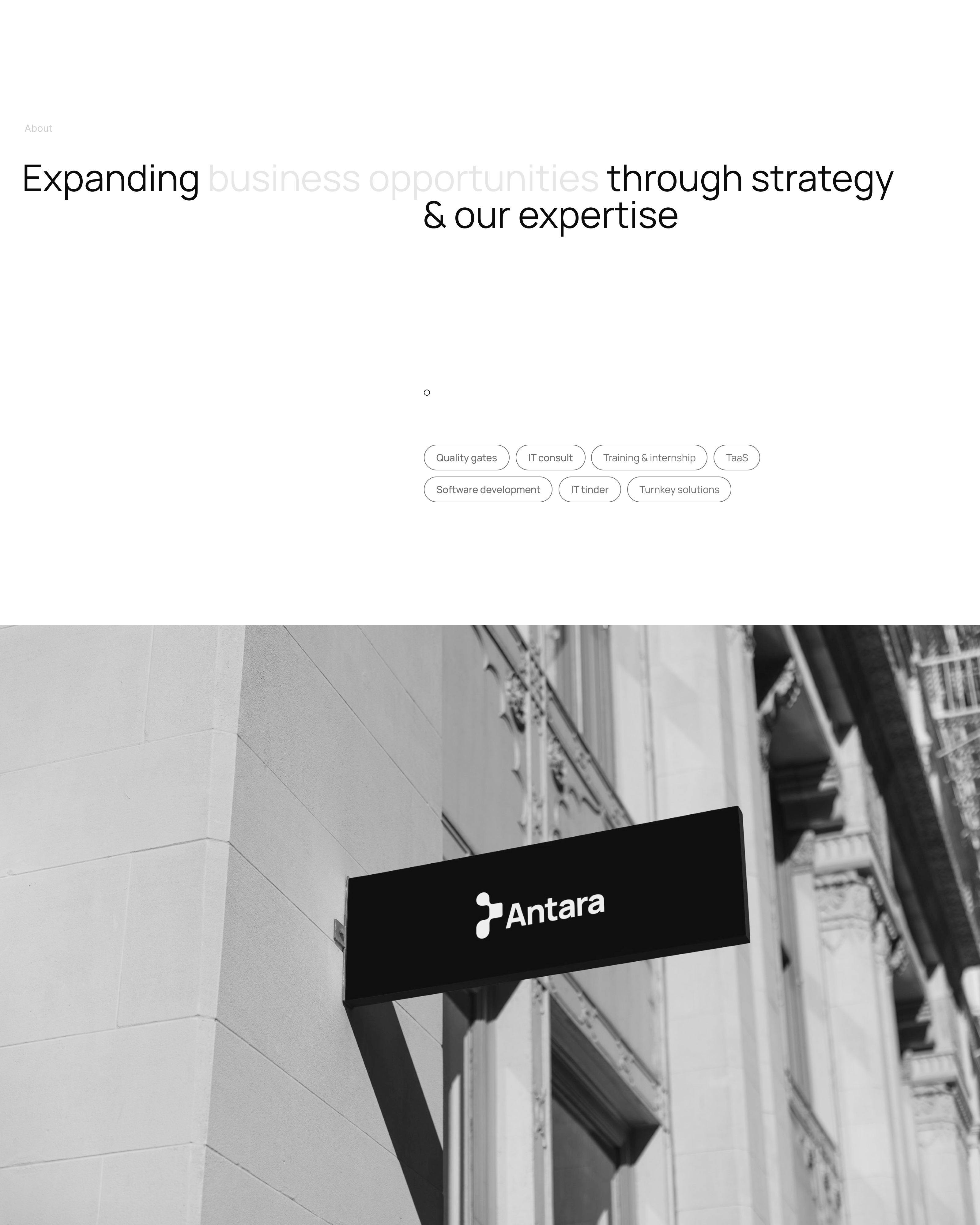 Antara services | Corporate website — Изображение №3 — Интерфейсы, Брендинг на Dprofile