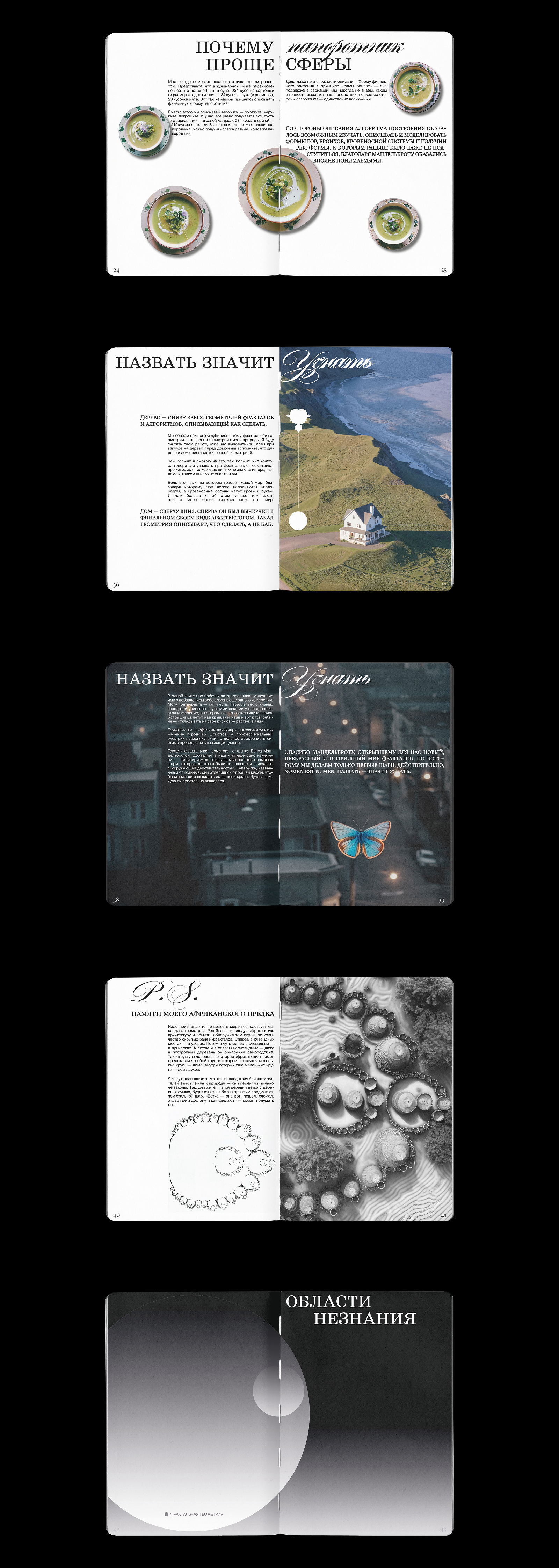 Zine/Art-book "Fractal geometry" — Изображение №3 — Графика на Dprofile