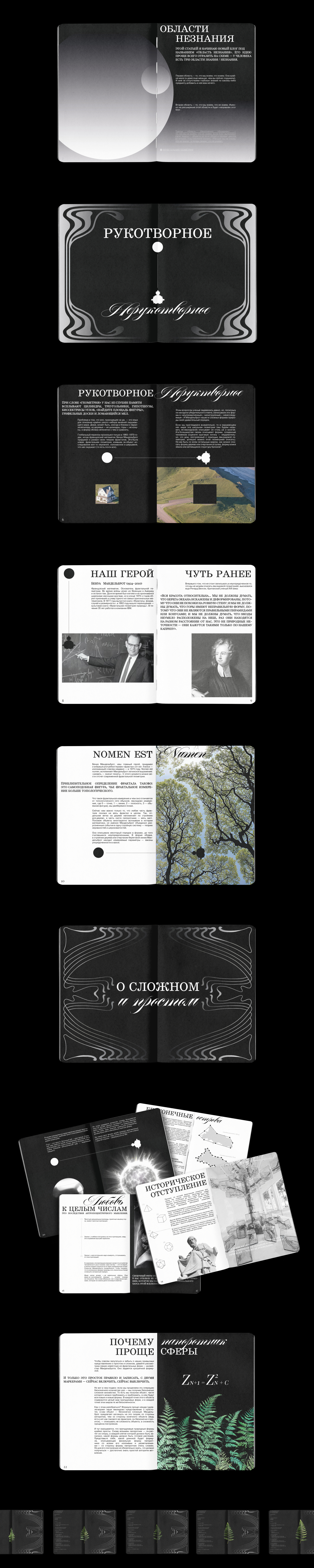 Zine/Art-book "Fractal geometry" — Изображение №2 — Графика на Dprofile