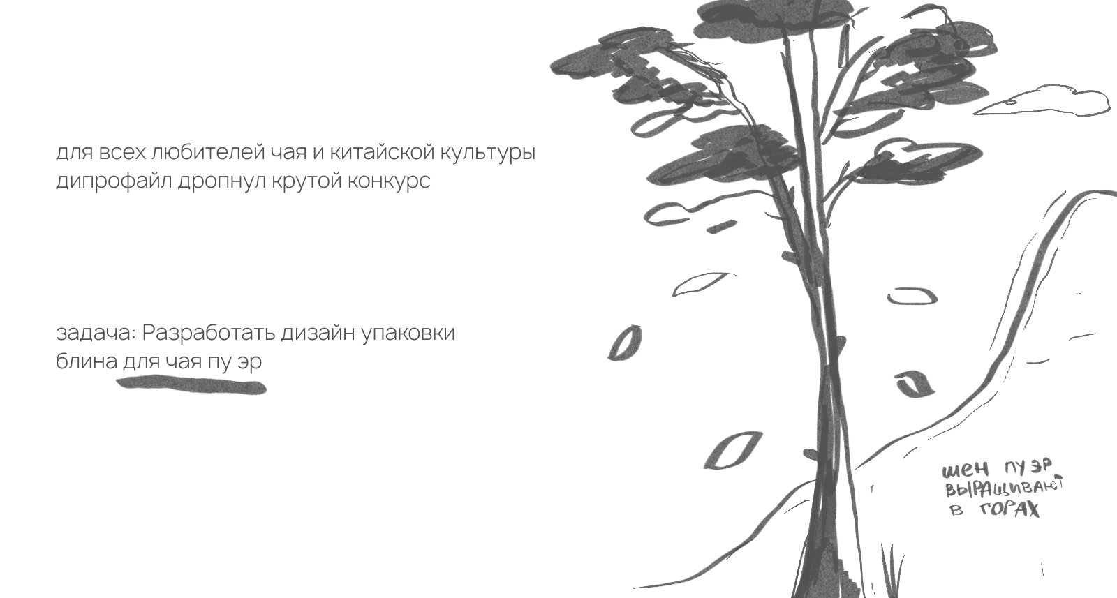 Качаем дизайн | блинчики пуэр — Изображение №2 — Брендинг, Иллюстрация на Dprofile