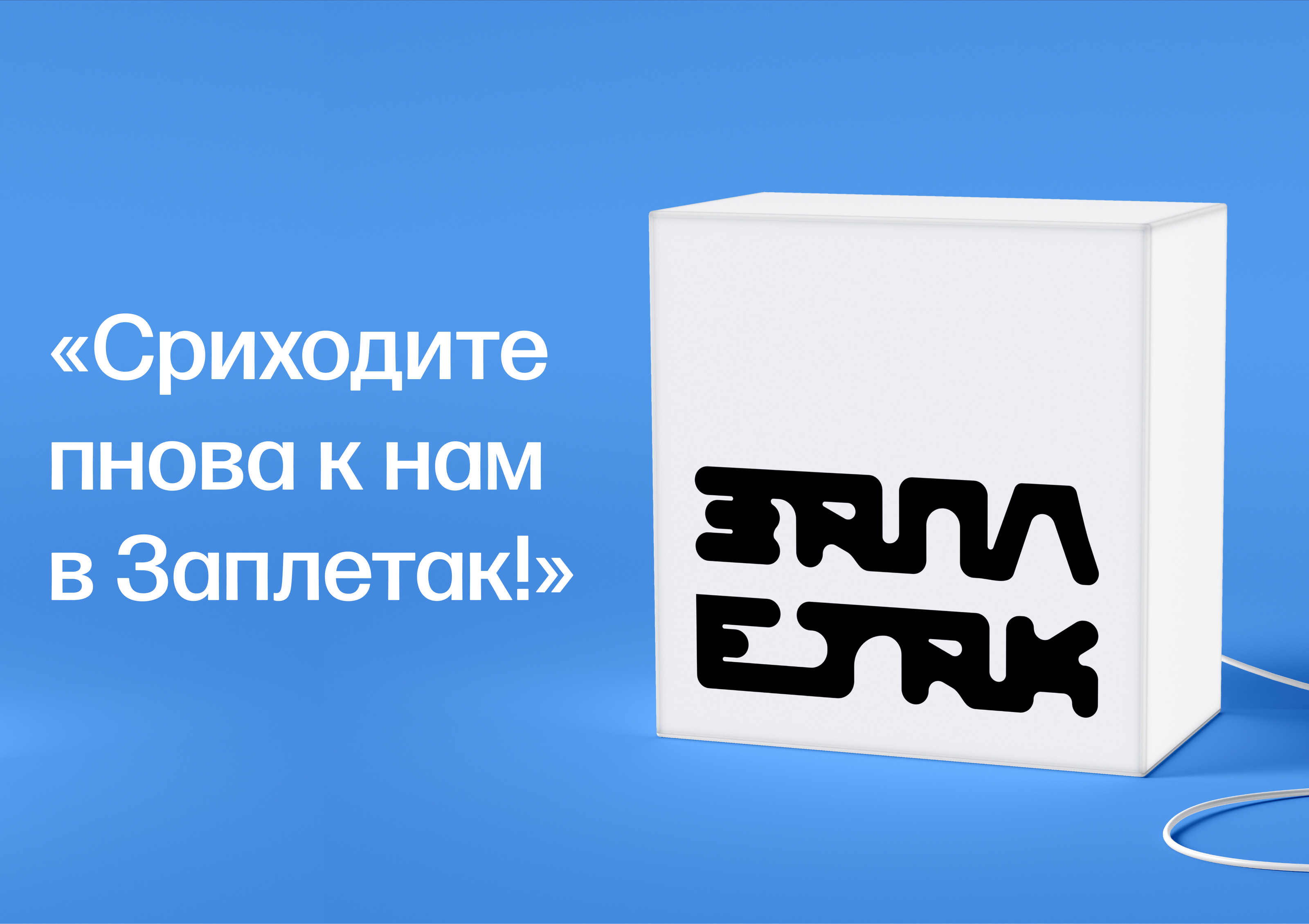 Бюро «Заплетак» — Изображение №29 — Брендинг, Иллюстрация на Dprofile