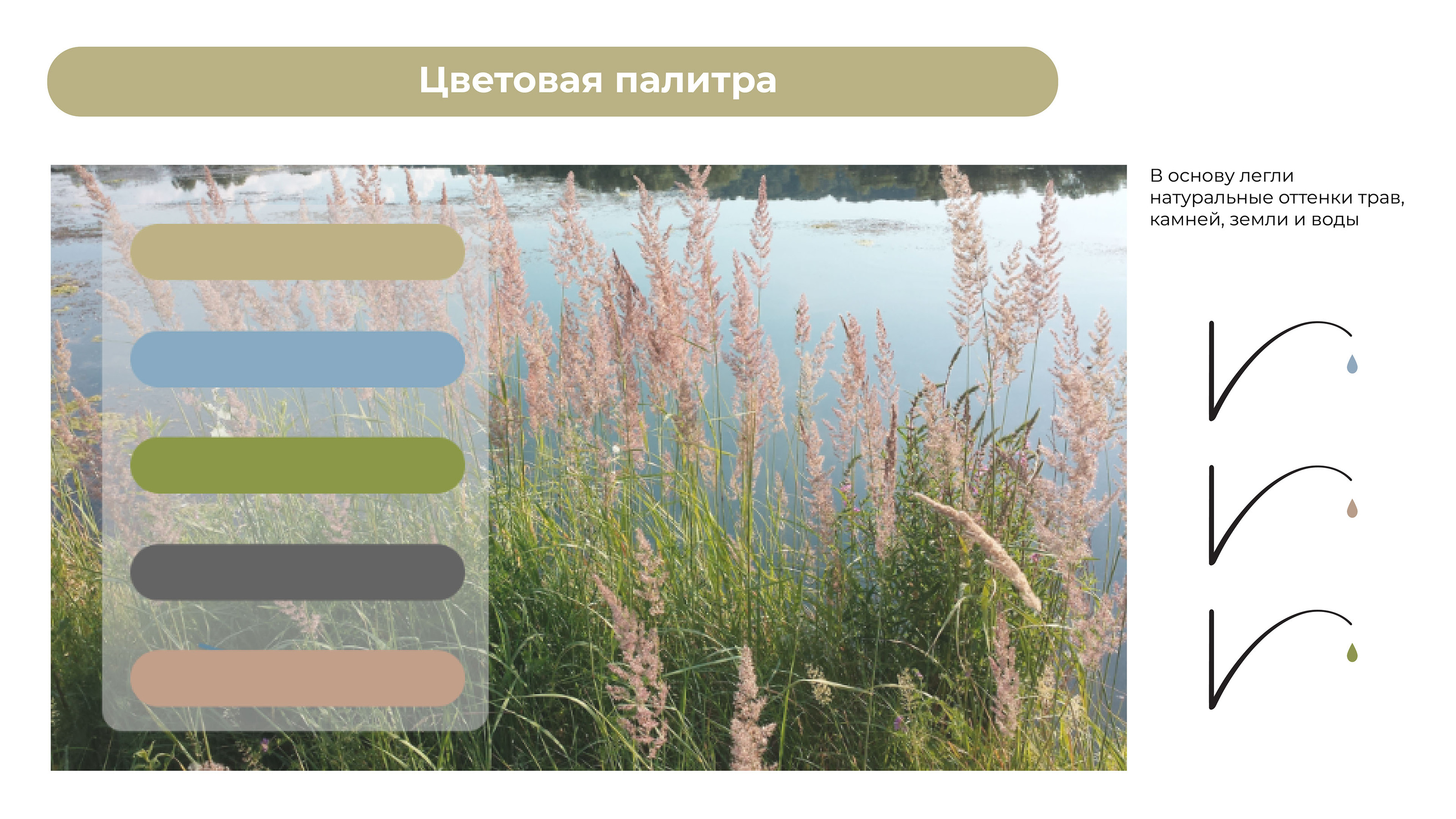 Veeline — Изображение №6 — Брендинг на Dprofile