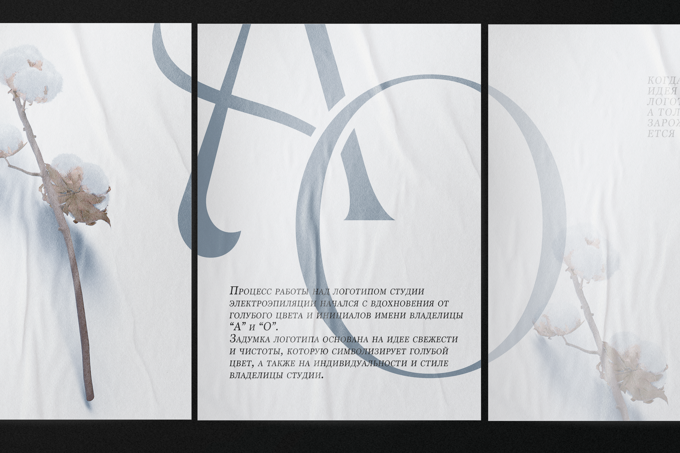 Логотип для студии электроэпиляции | Logotype — Изображение №2 — Брендинг на Dprofile