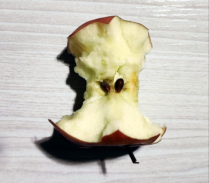«FANTÔME de POMME» (упаковка) — Изображение №1 — Брендинг на Dprofile